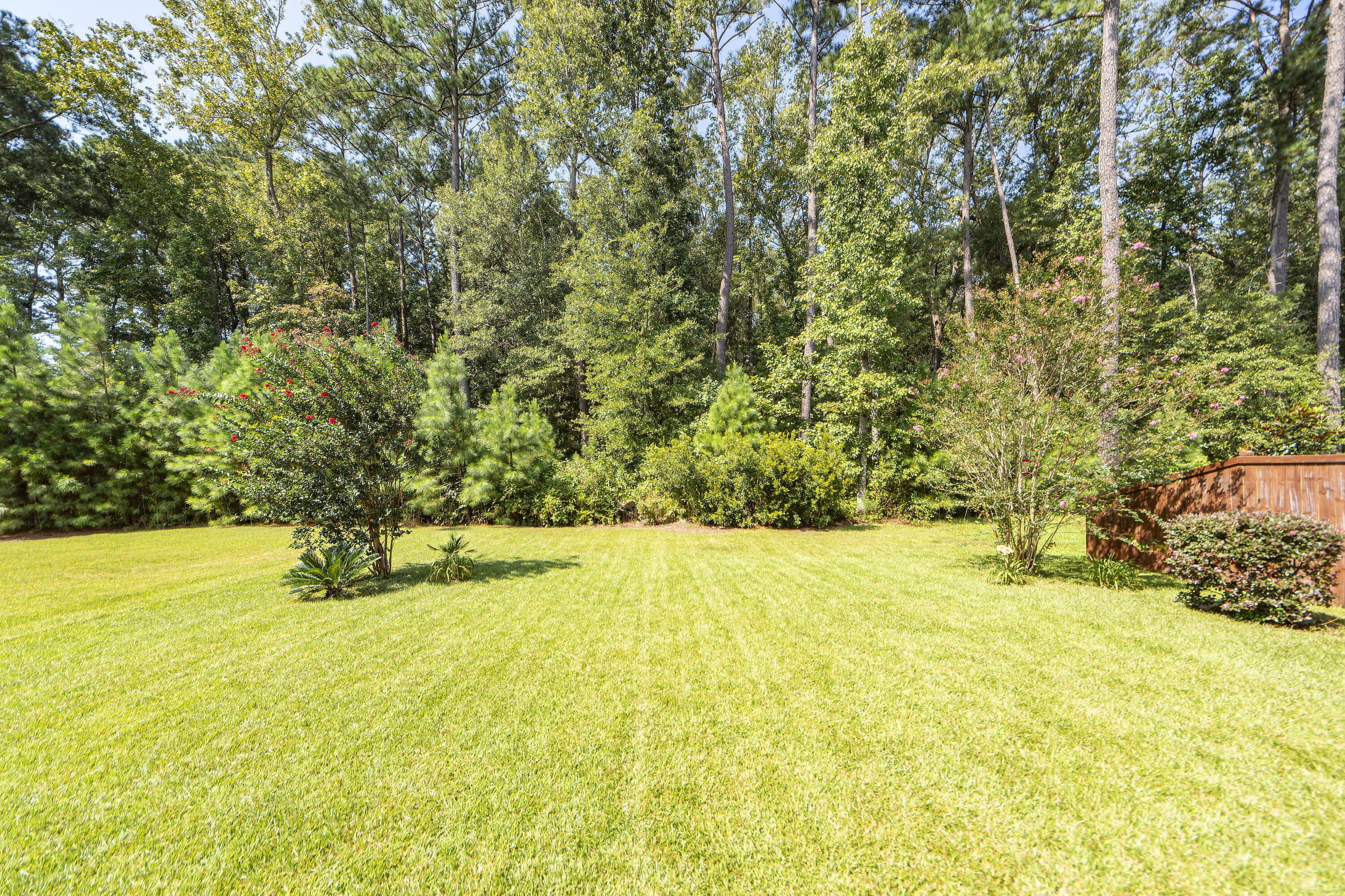 5044 White Cedar Road Ladson, SC 29456 - Photo 19 of 21 40