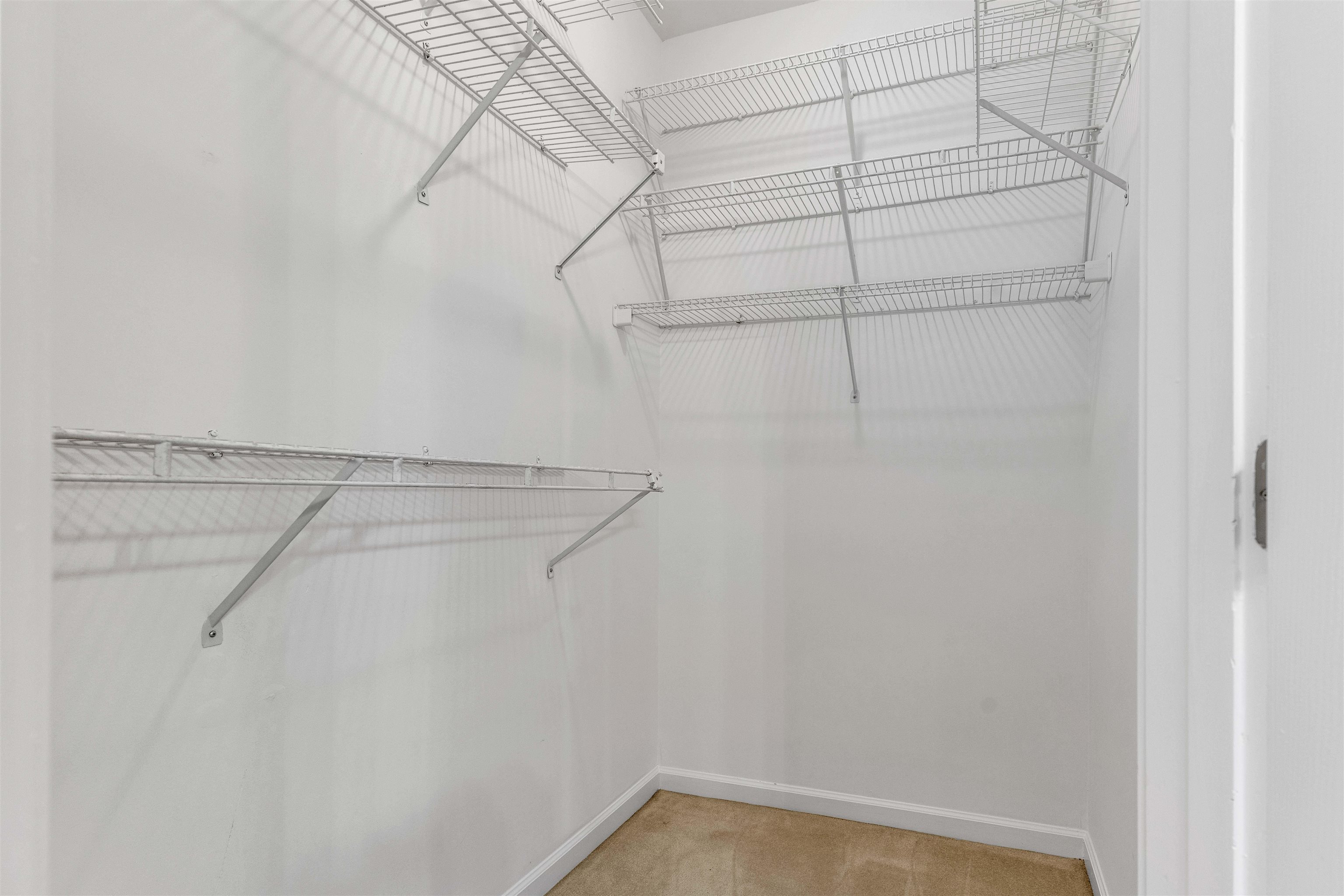 917 Valleyview Lane Collierville, TN 38017 - Photo 6 of 35 View of walk in closet