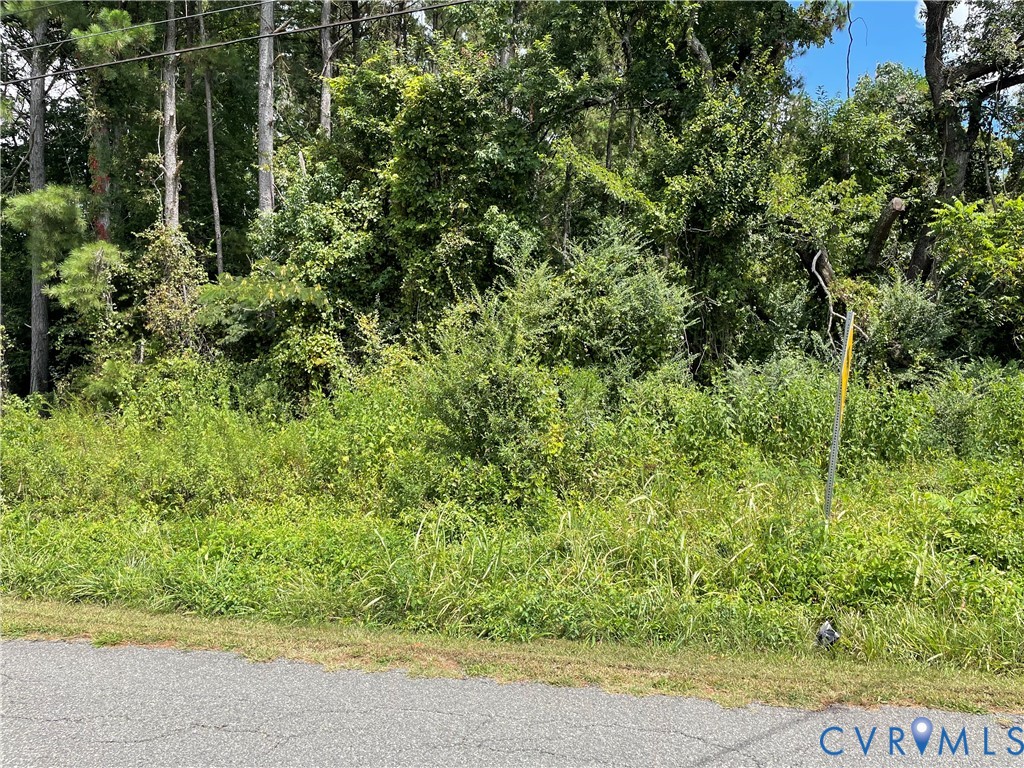 0 Merry Point Road Lancaster, VA 22503 - Photo 2 of 2 a view of a garden