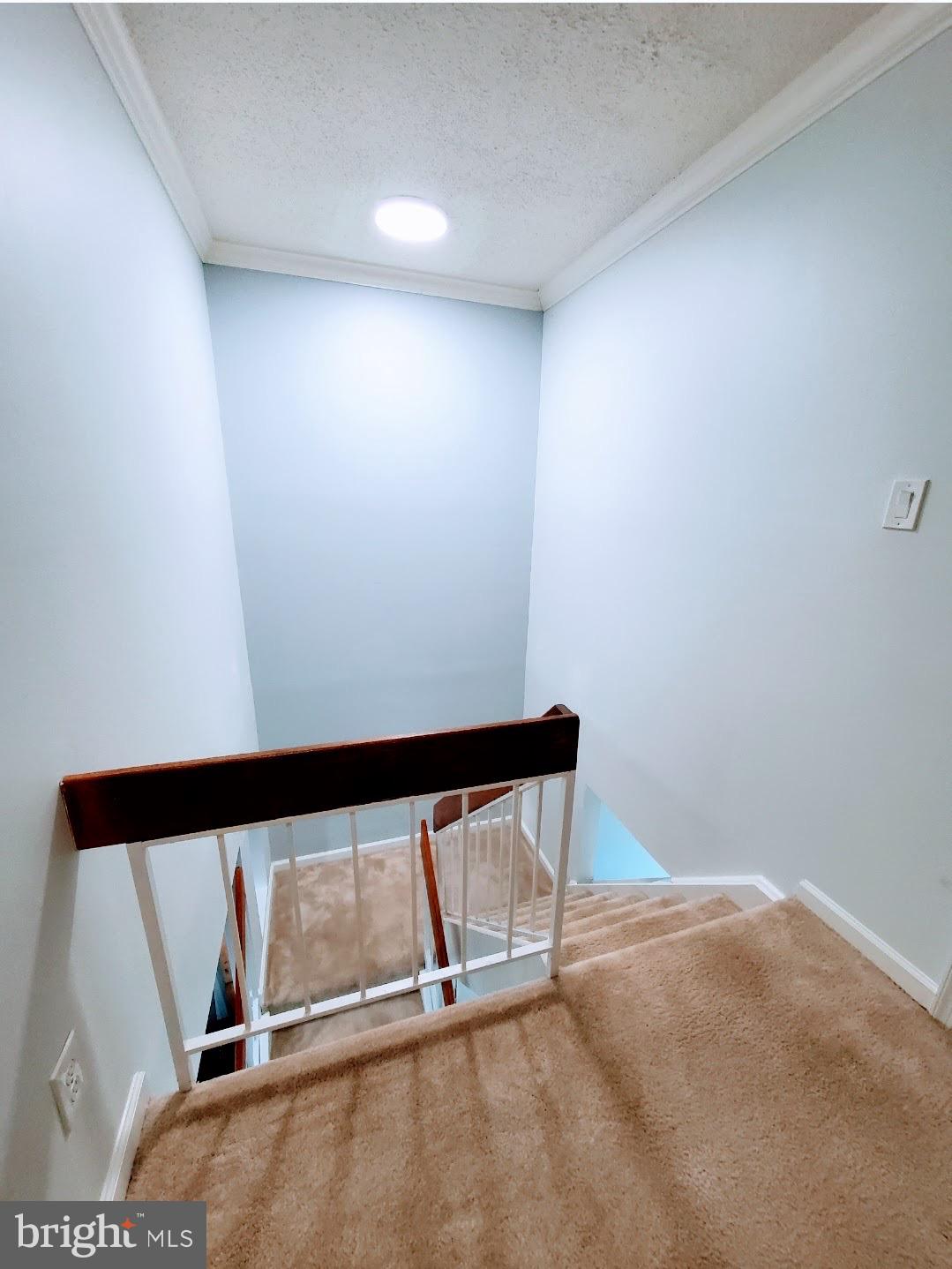 2366 Southgate Square Reston, VA 20191 - Photo 16 of 20