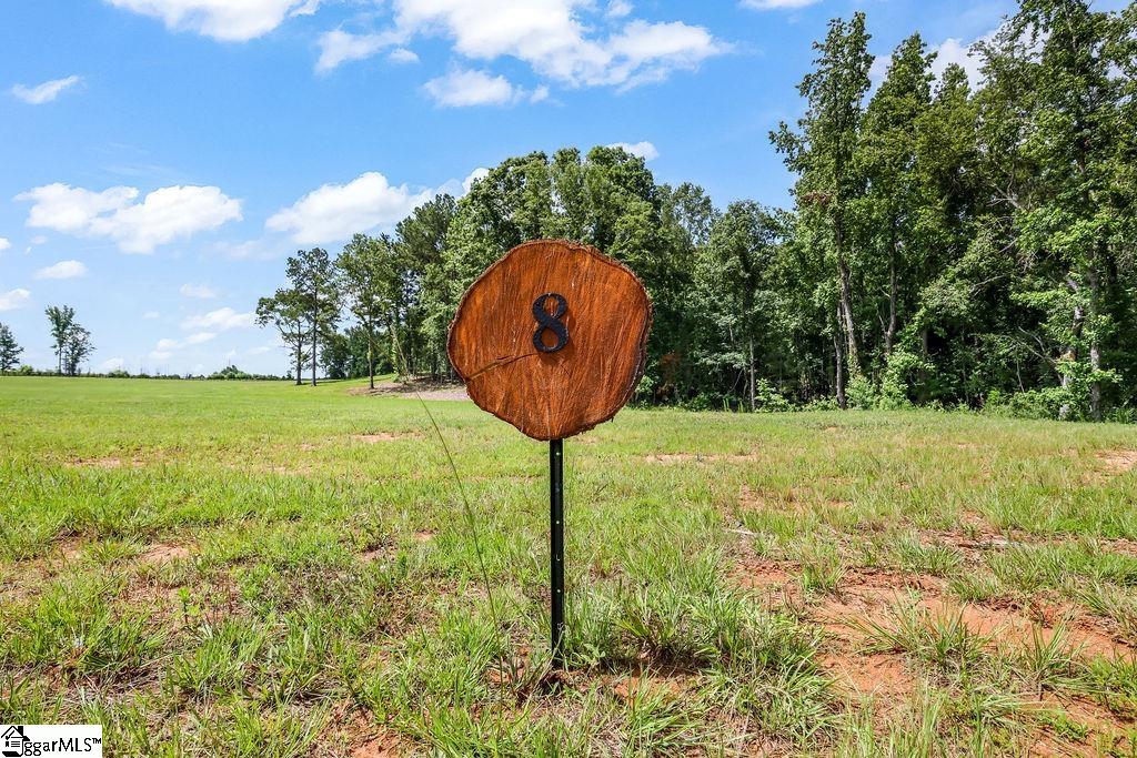 131 Flowing Rock Road, Unit LOT 8 Honea Path, SC 29654 - Photo 3 of 8