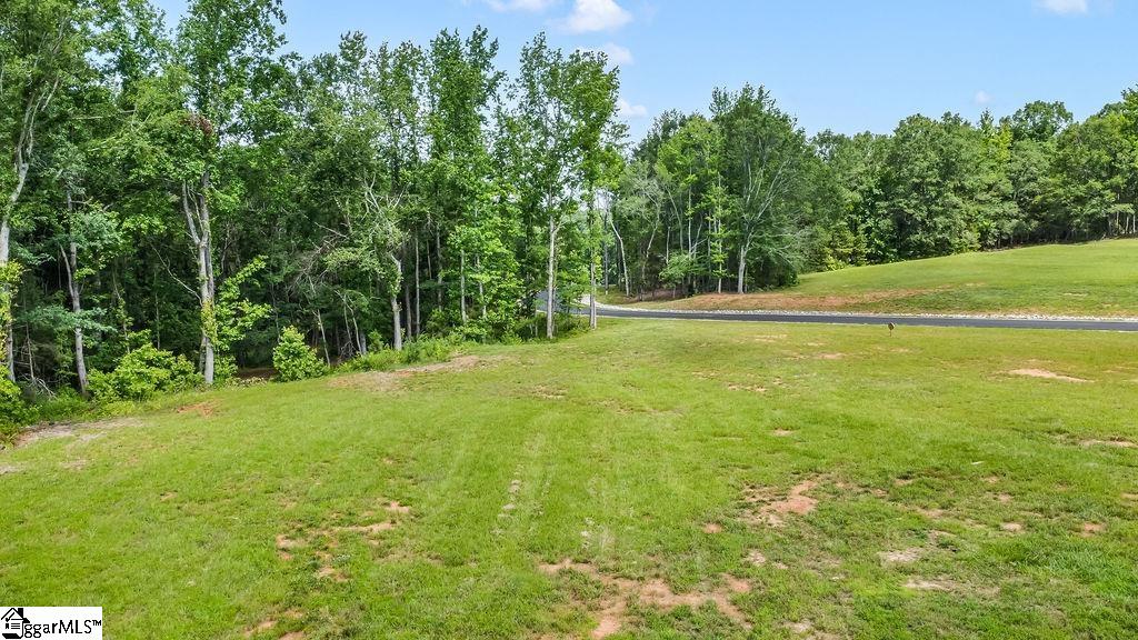 131 Flowing Rock Road, Unit LOT 8 Honea Path, SC 29654 - Photo 6 of 8