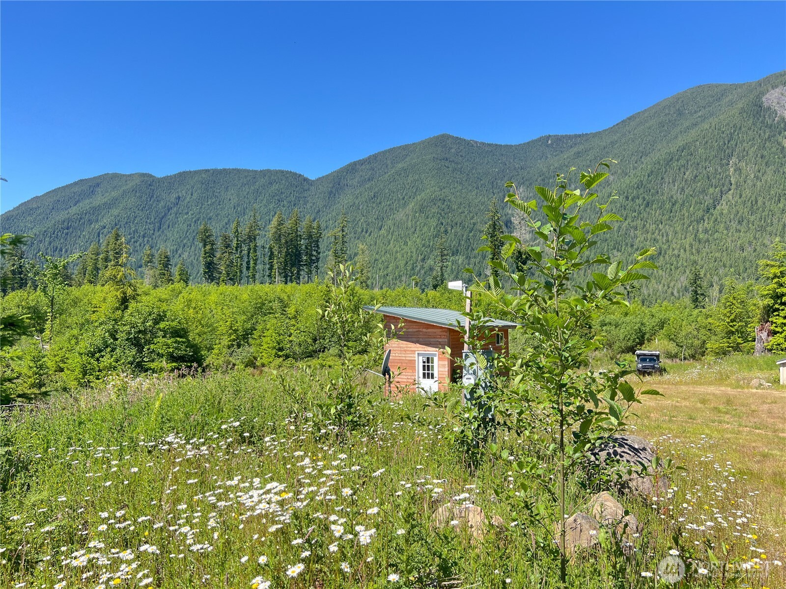2904 Wildwood Road Quilcene, WA 98376 - Photo 14 of 39 a view of a mountain with a garden