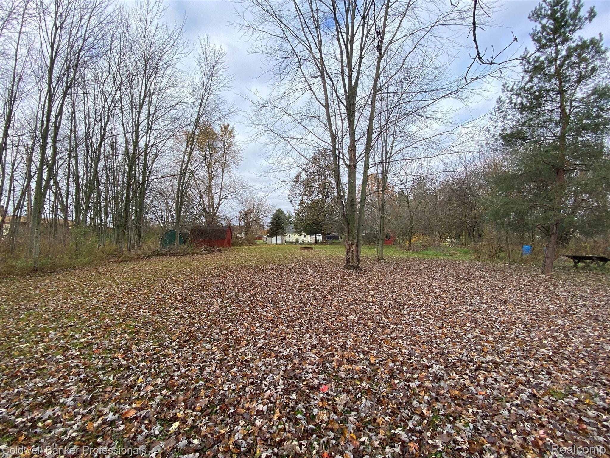 3093 South Vassar Road Davison, MI 48423 - Photo 25 of 29 4077867E-AB52-4A07-ACA8-D9B8C8A2F330.jpeg