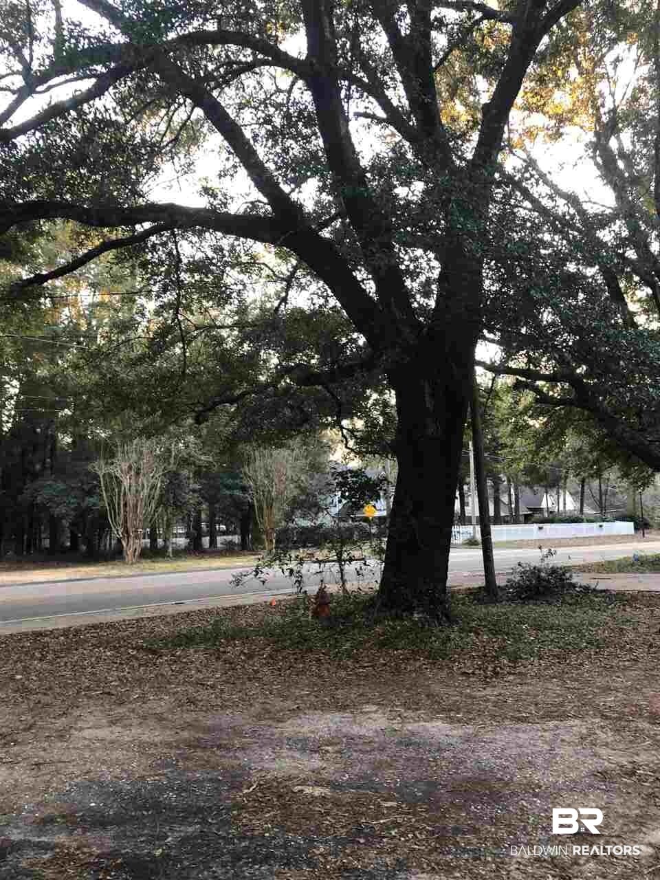 705 Deer Avenue Daphne, AL 36526 - Photo 5 of 8 Front3