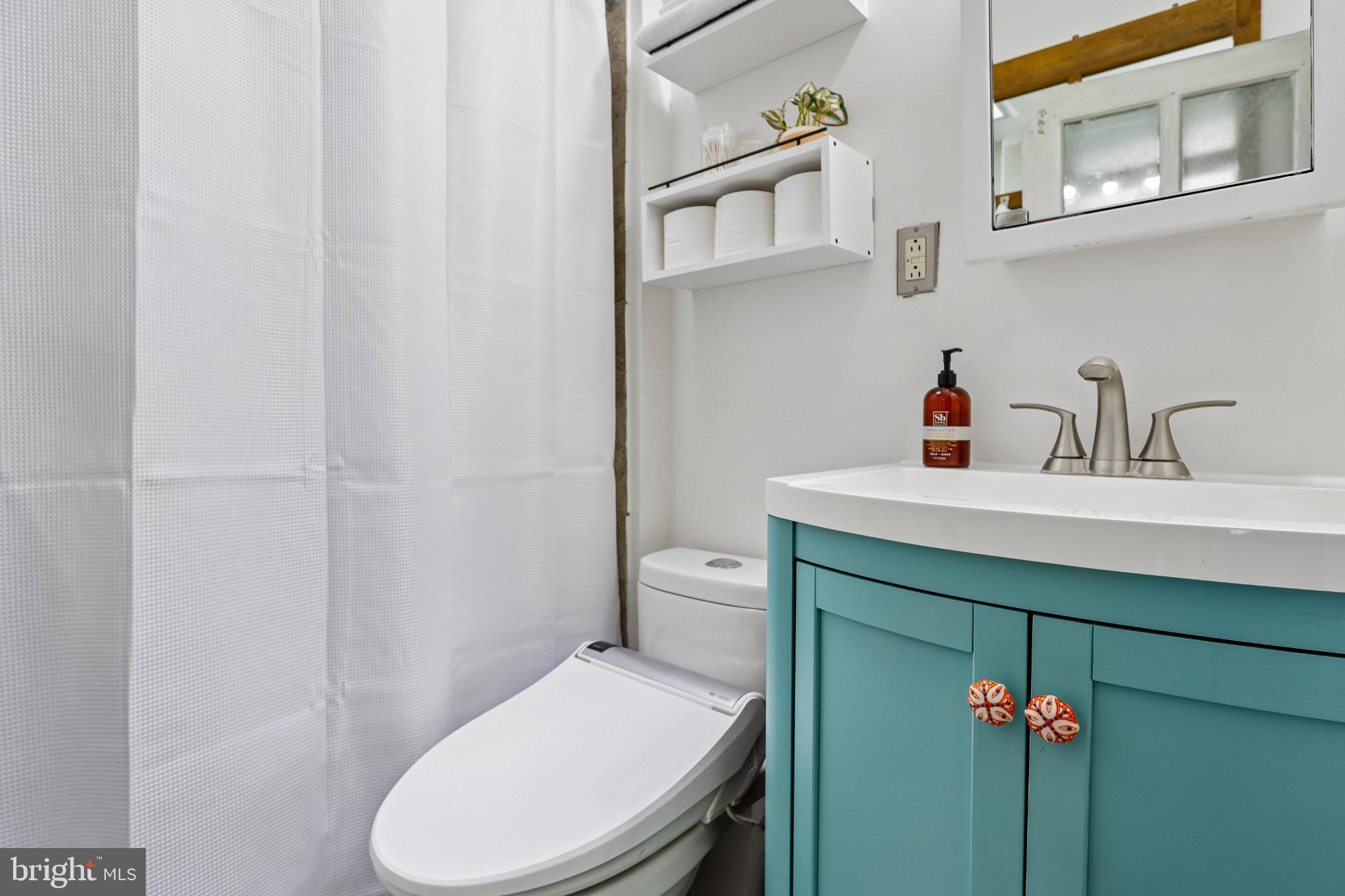 3124 Chestnut Avenue Baltimore, MD 21211 - Photo 19 of 25 Charming bathroom with vibrant accents.