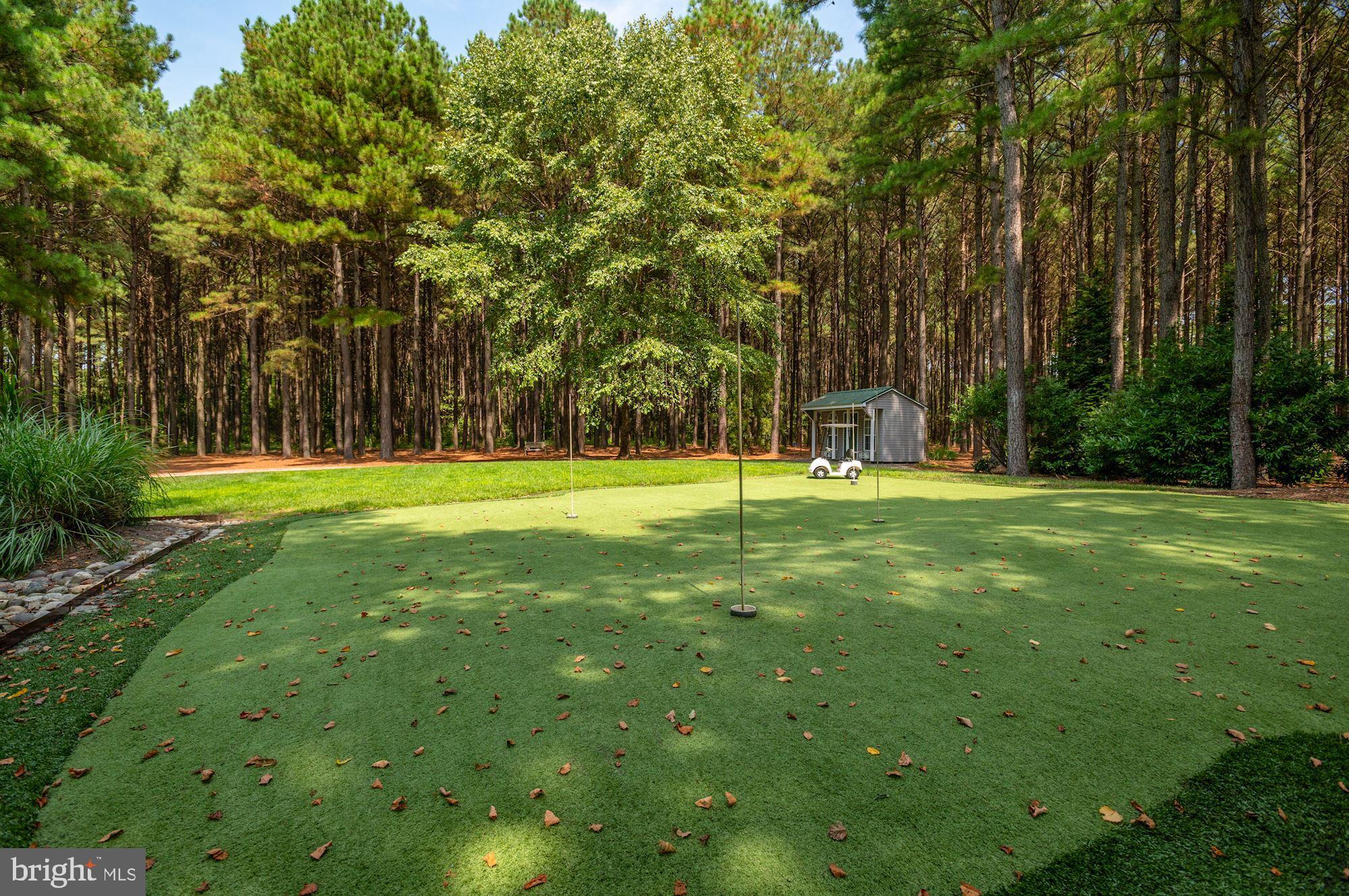 8620 Bozman Neavitt Road St. Michaels, MD 21663 - Photo 58 of 60 Putting Green