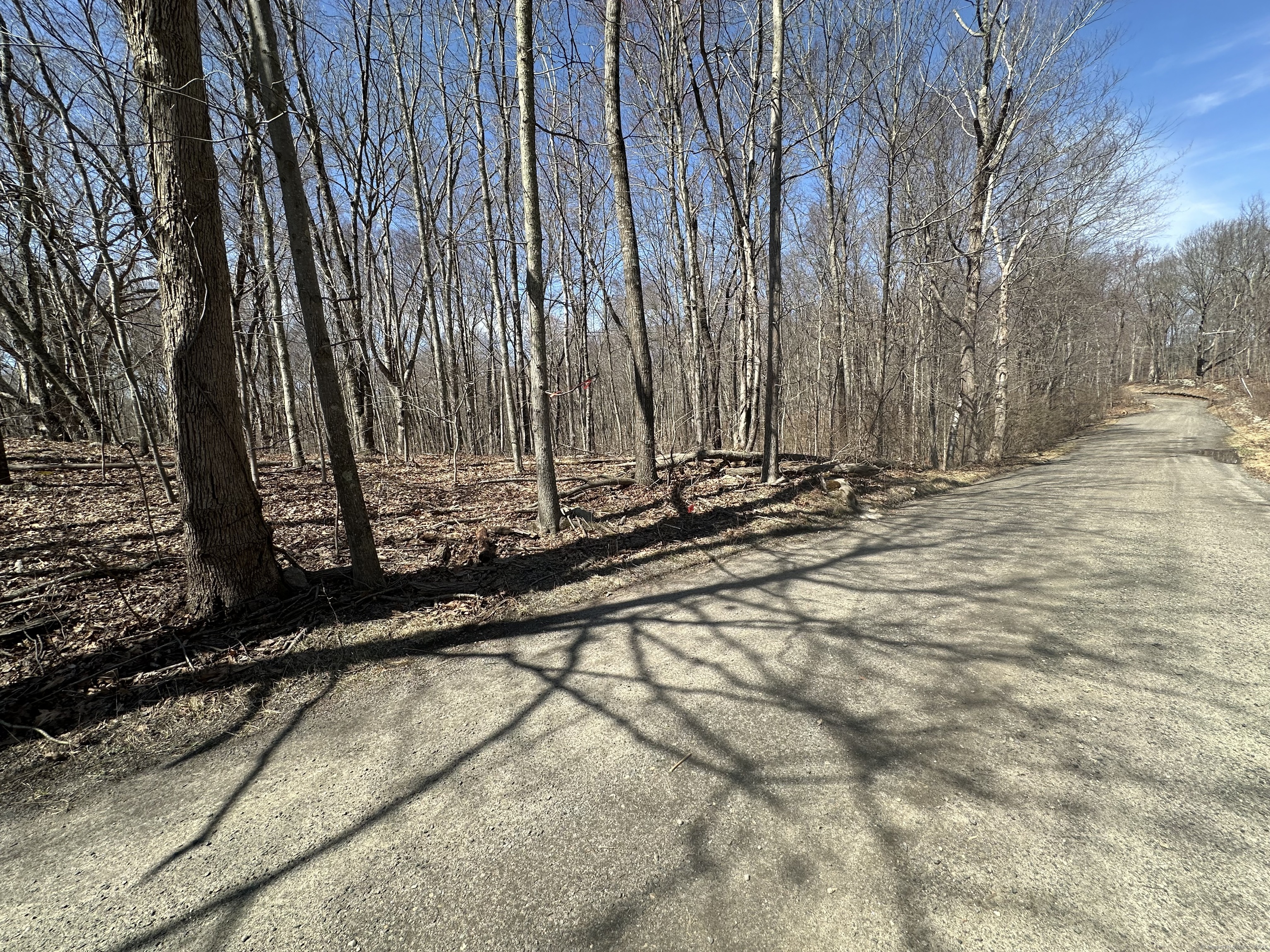 0 Cowles Road Woodbury, CT 06798 - Photo 8 of 12