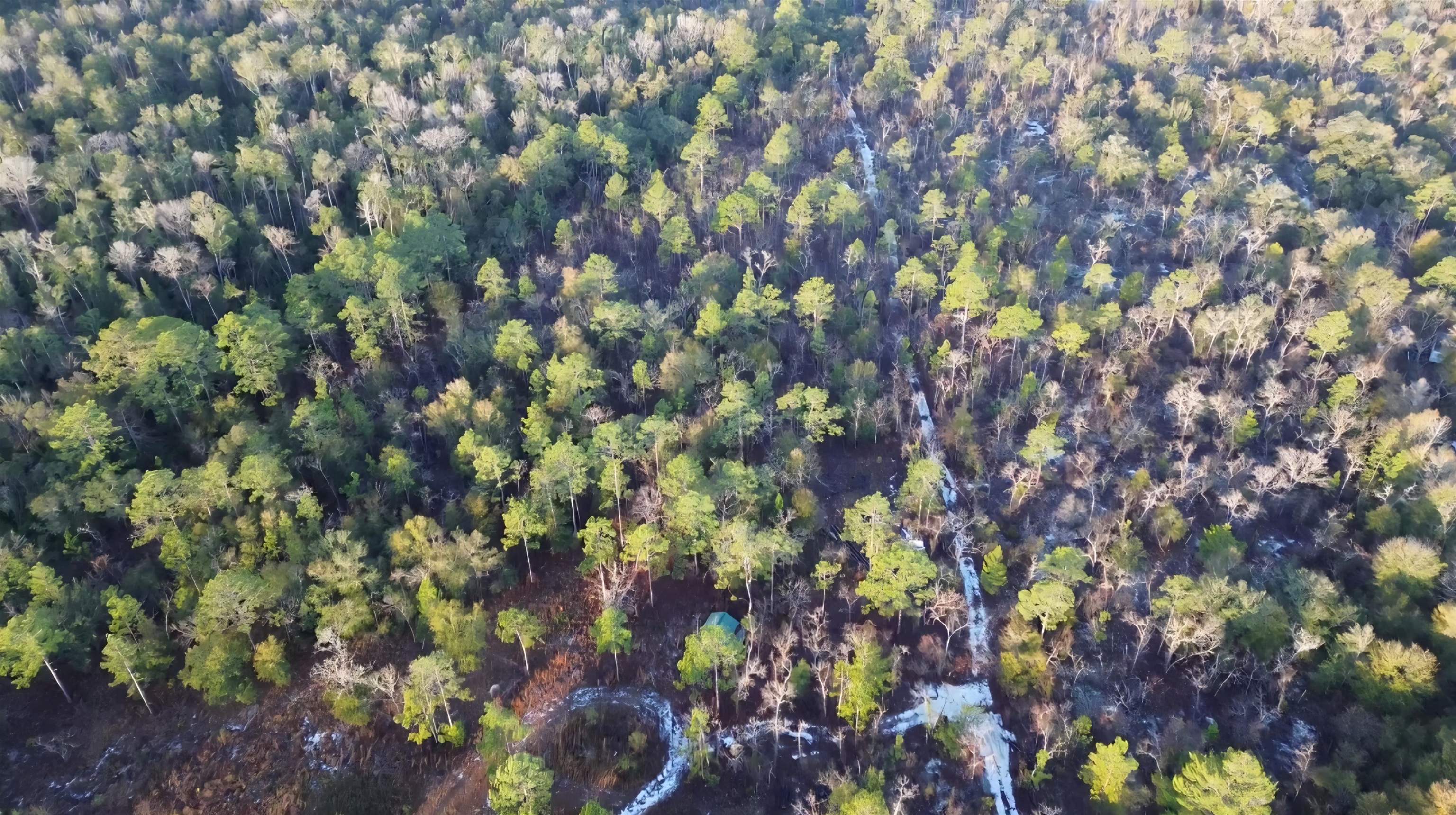 Xxx McCall Bridge Road Quincy, FL 32351 - Photo 1 of 4