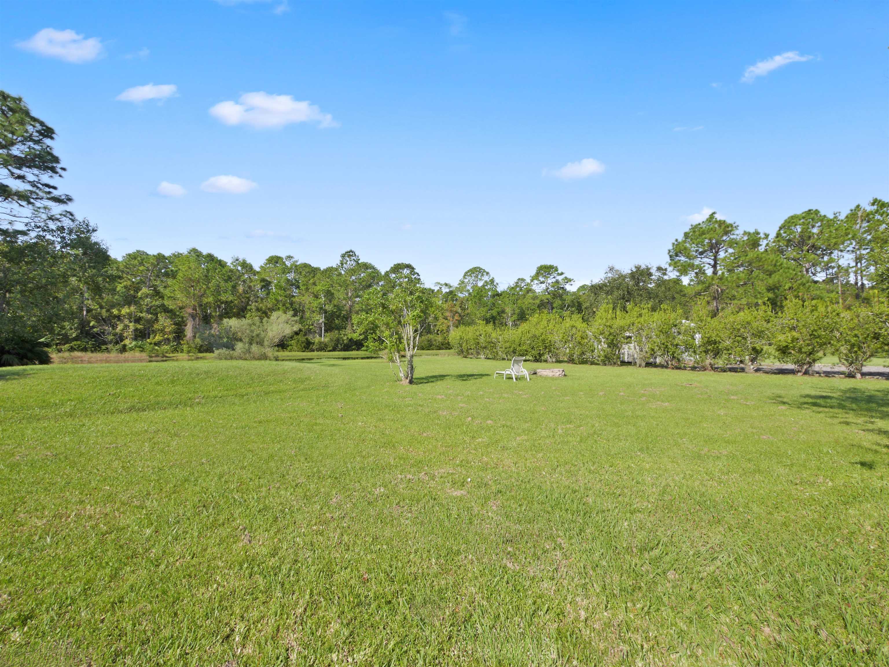 2961 Race Track Road St. Augustine, FL 32084 - Photo 34 of 42 a view of a green field and trees
