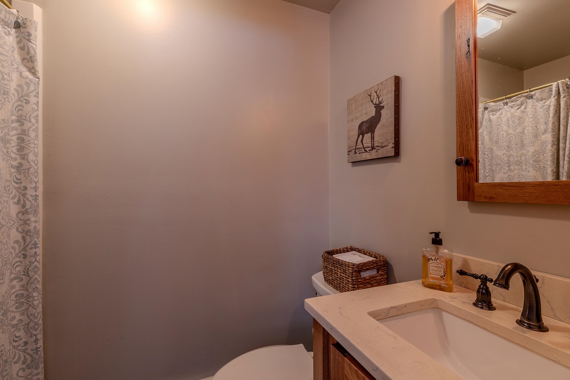 43 Beaver Street Winhall, VT 05340 - Photo 15 of 34