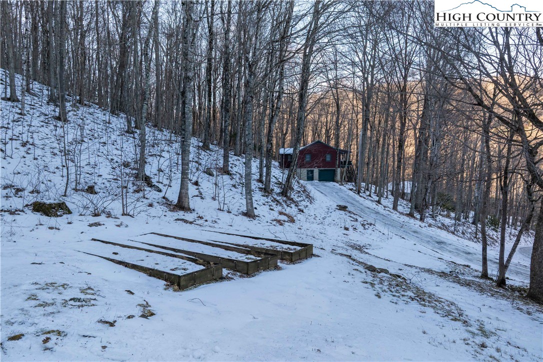 178 Green Knob Mountain Road Boone, NC 28607 - Photo 46 of 49 a view of a park with large trees