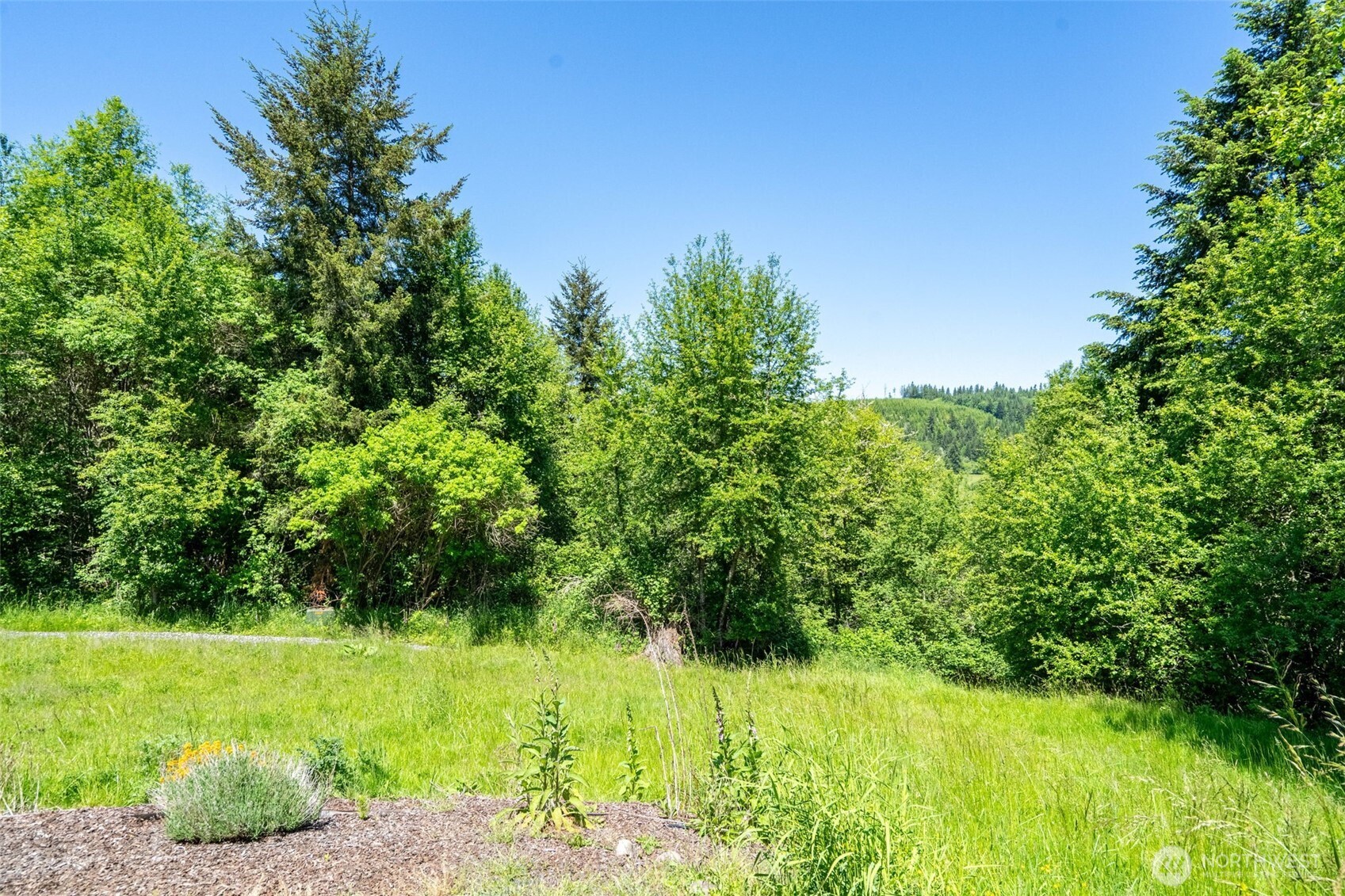 110 Northview Drive Chehalis, WA 98532 - Photo 27 of 37