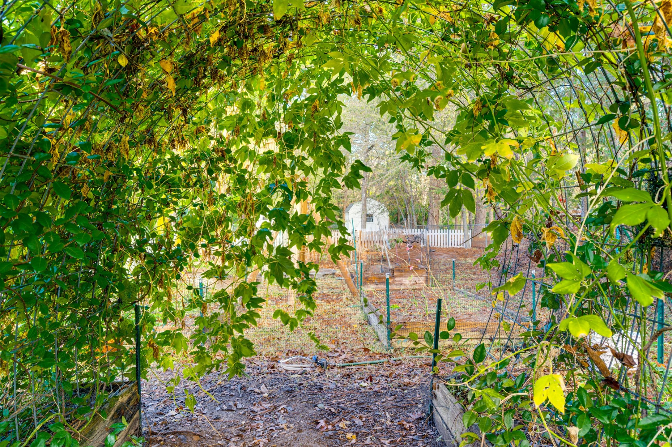 215 Perryman Road Lindale, TX 75771 - Photo 40 of 44