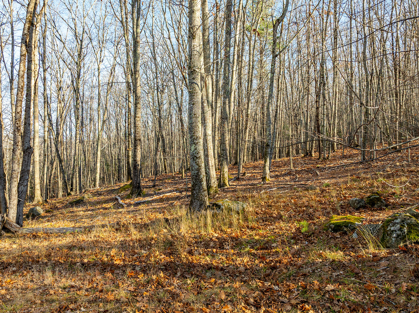 6 Gosse's Hill Road Camden, ME 04843 - Photo 26 of 27 26