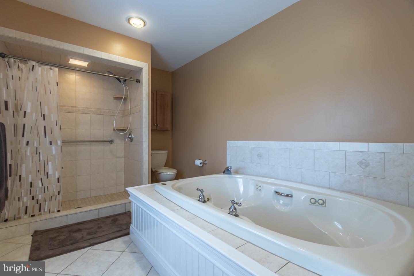 1010 Sweetbriar Road Perkasie, PA 18944 - Photo 36 of 52 Jetted tub
