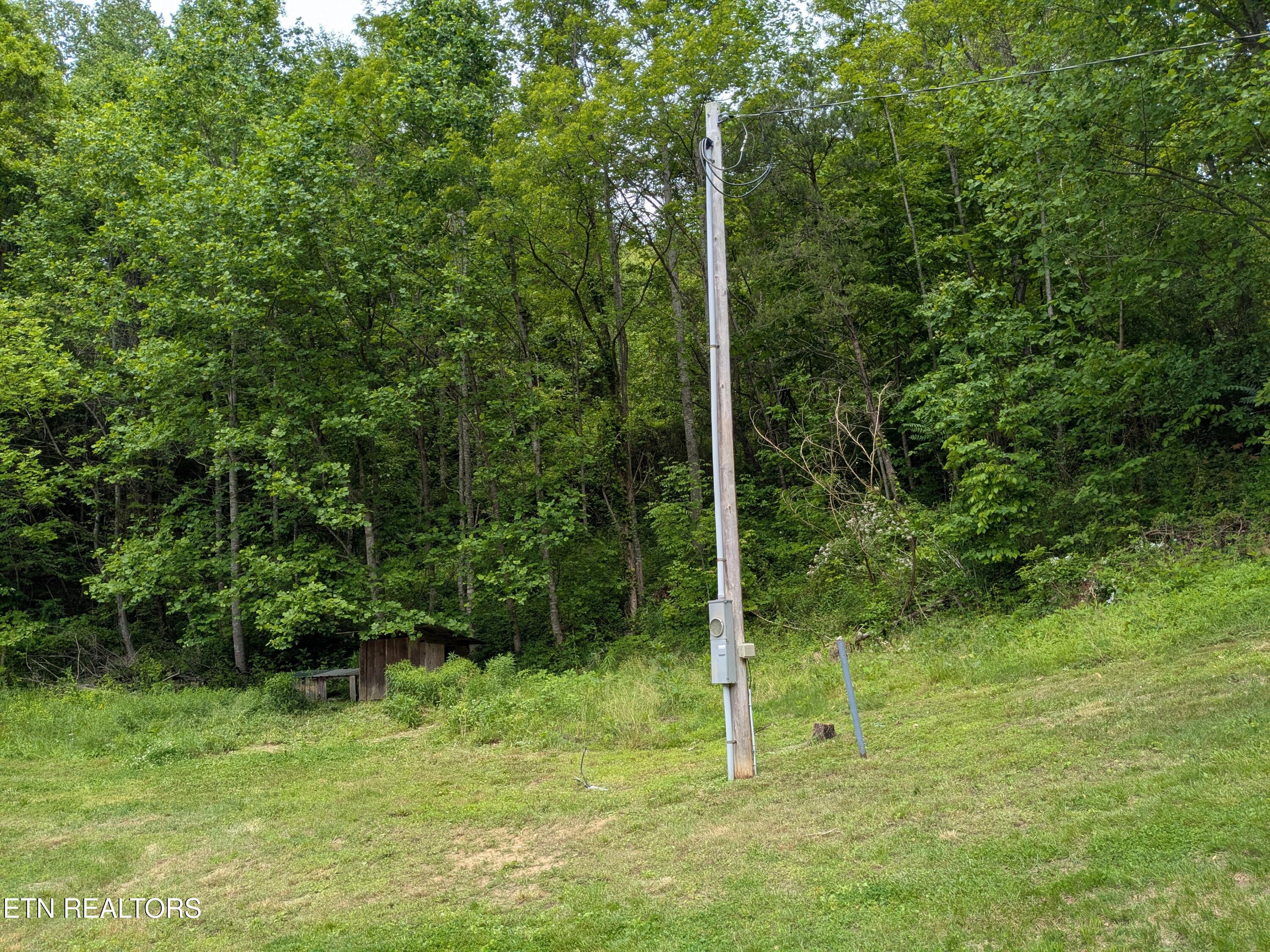 956 Sherm Mountain Road Sneedville, TN 37869 - Photo 4 of 6 PXL_20250510_165243151.MP