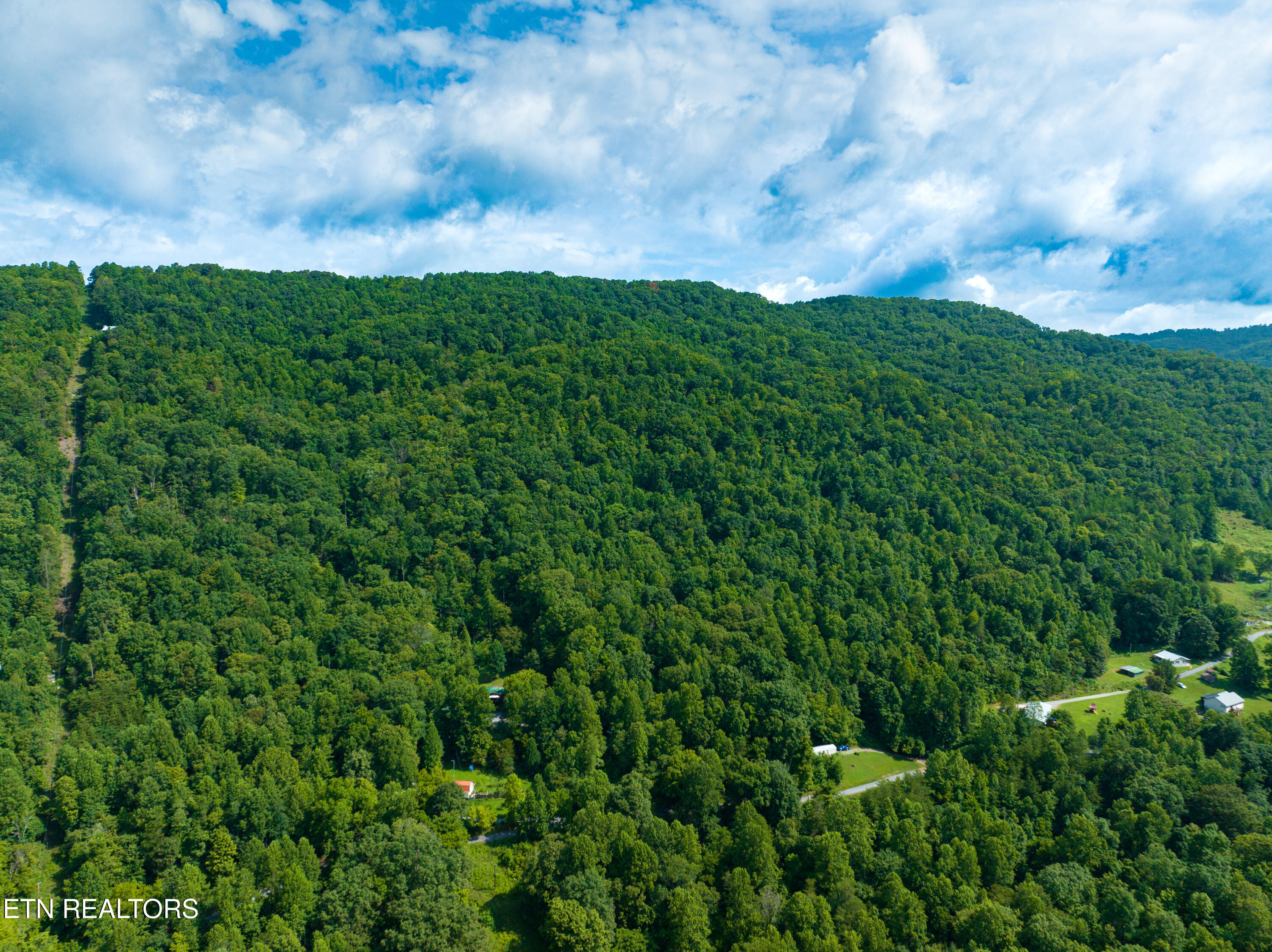 956 Sherm Mountain Road Sneedville, TN 37869 - Photo 5 of 6 Sherm Mtn Rd-4