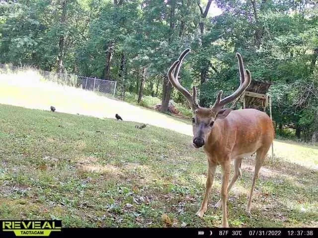 $509,000 | 116 Westfield Road, Pittsburg, KS 66762