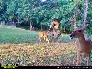 $509,000 | 116 Westfield Road, Pittsburg, KS 66762