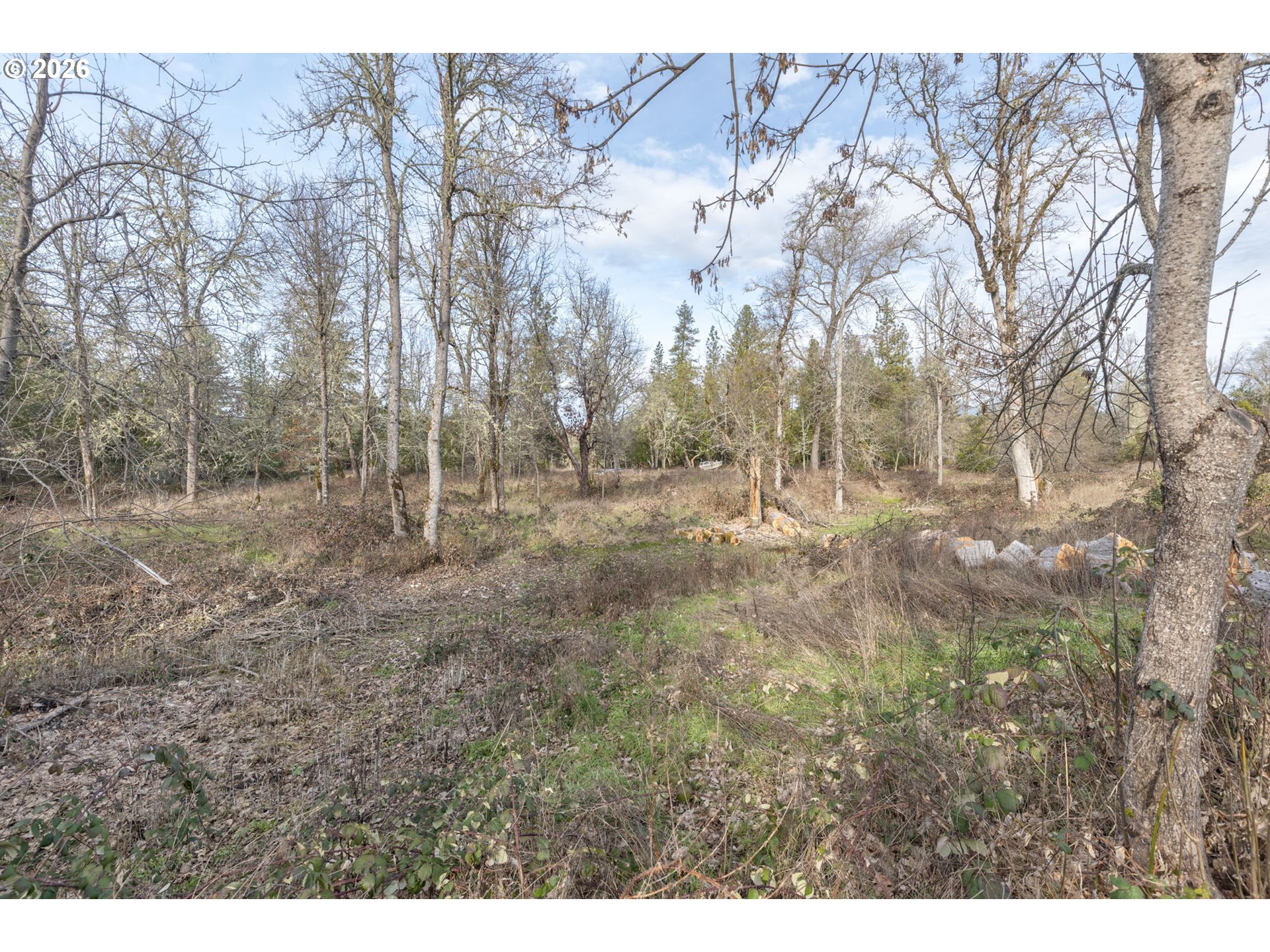 4420 Holland Loop Road Cave Junction, OR 97523 - Photo 42 of 46 a view of open space with trees