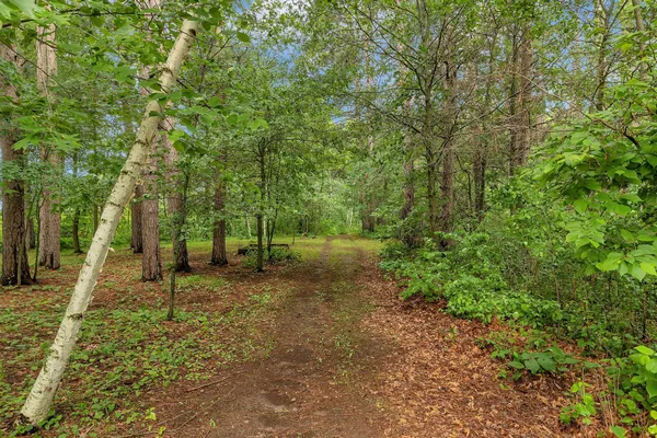 $694,900 | 38071 248th Street, Hillman, MN 56338