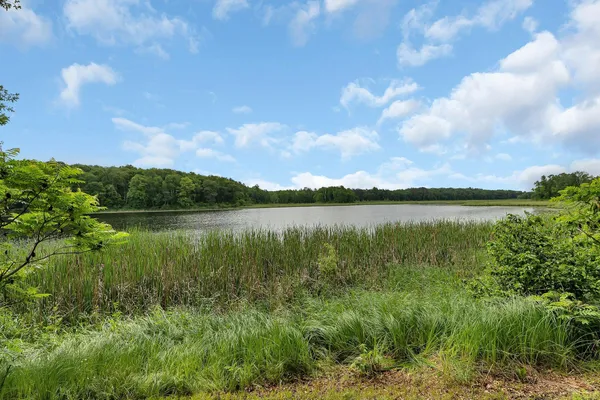 $694,900 | 38071 248th Street, Hillman, MN 56338