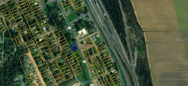 a close up of a plant in a garden