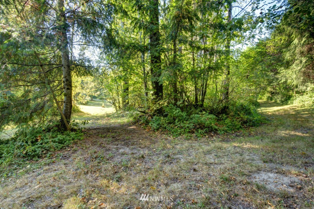 146 Easy Street Road Silverlake, WA 98645 - Photo 25 of 25 Gallery Image 25