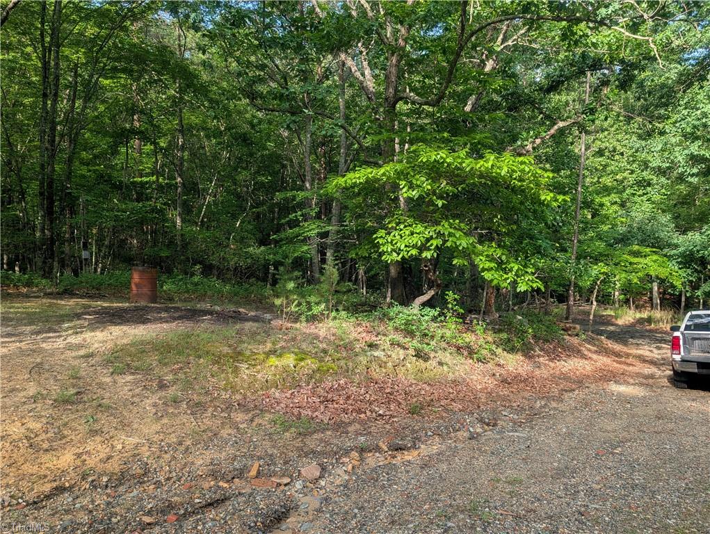 1040 Artists Way Road Danbury, NC 27016 - Photo 13 of 13