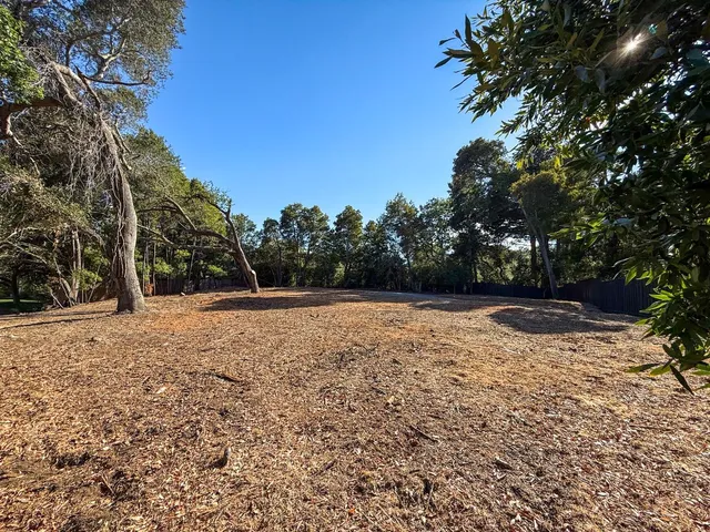a backyard of a house with lots of green space