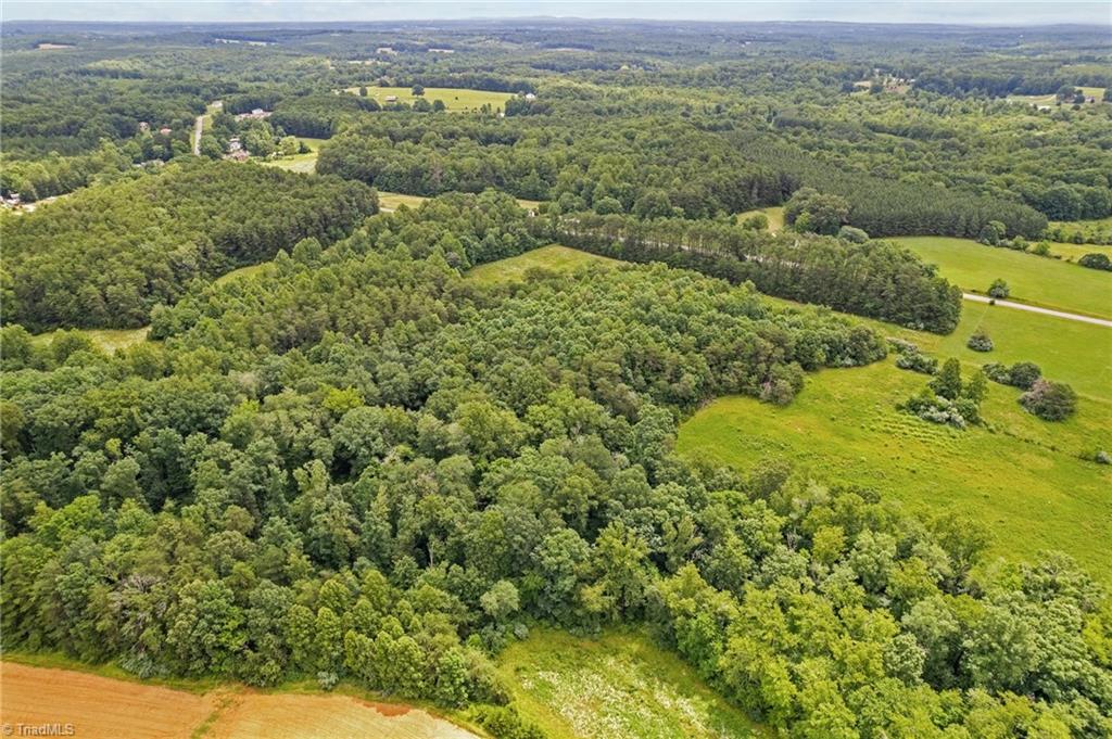 3181 Mosco Road Axton, VA 24054 - Photo 45 of 48