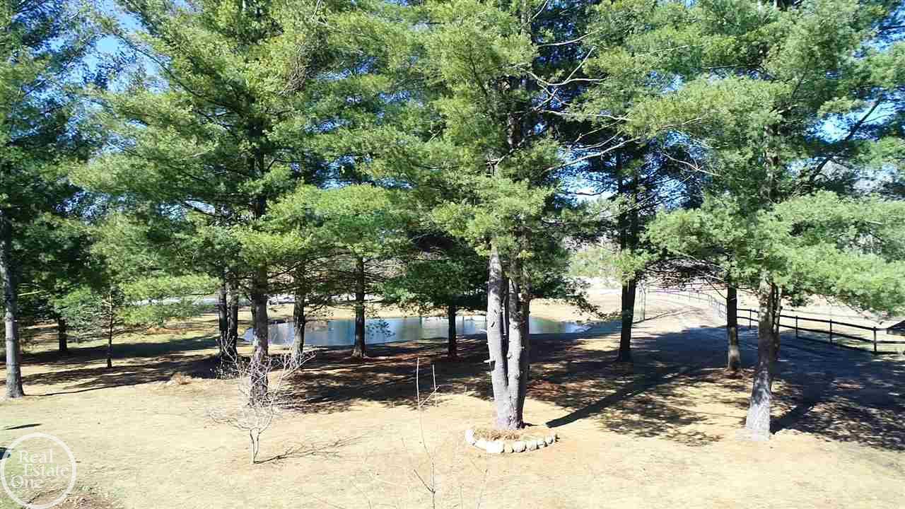6470 Rattle Run Road St. Clair, MI 48079 - Photo 84 of 88 31374019-83.JPG