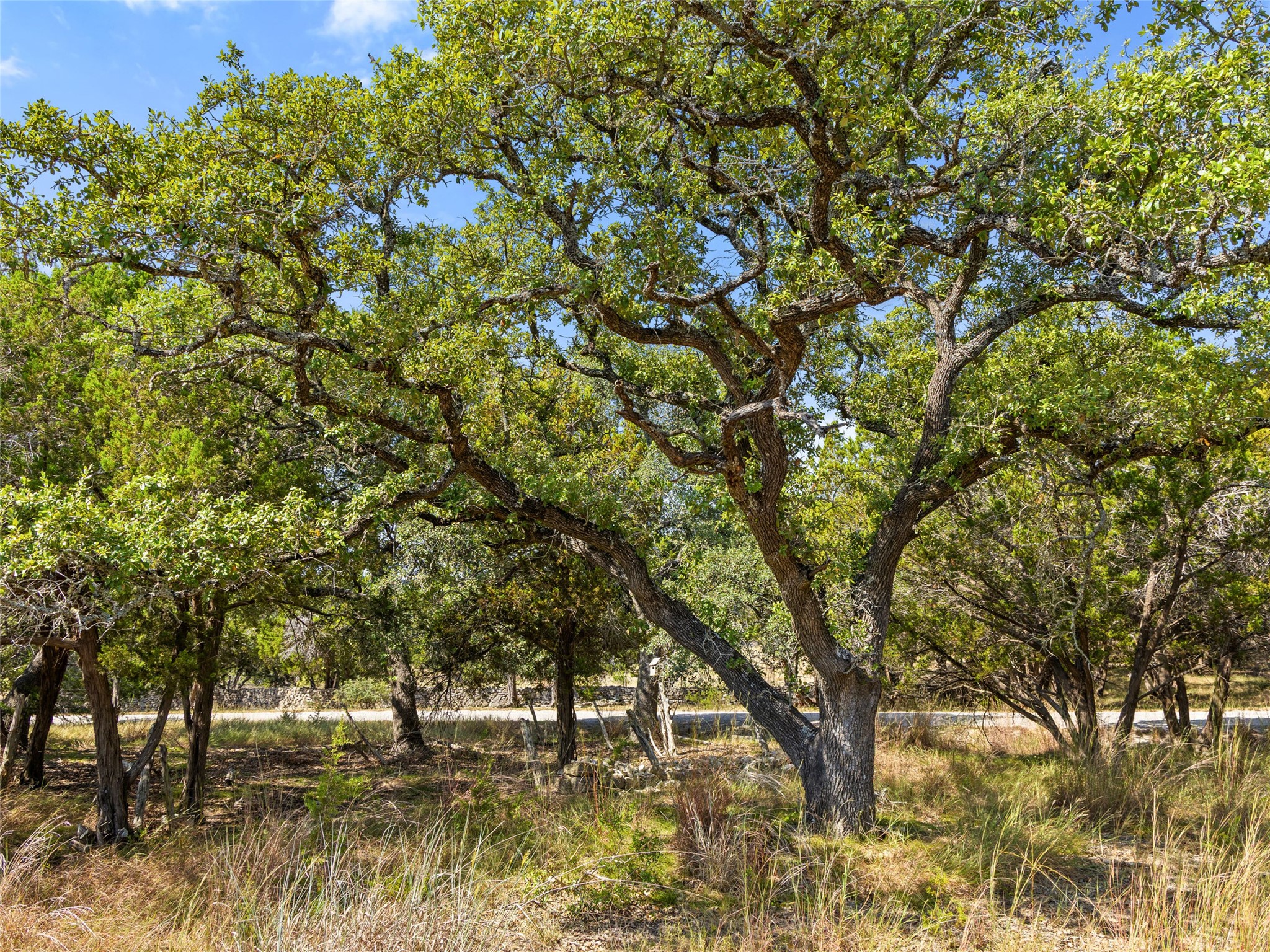5818 Ranch Road 165 Blanco, TX 78606 - Photo 11 of 20 a view of outdoor space