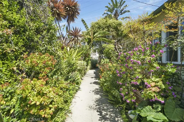 a picture of flowers