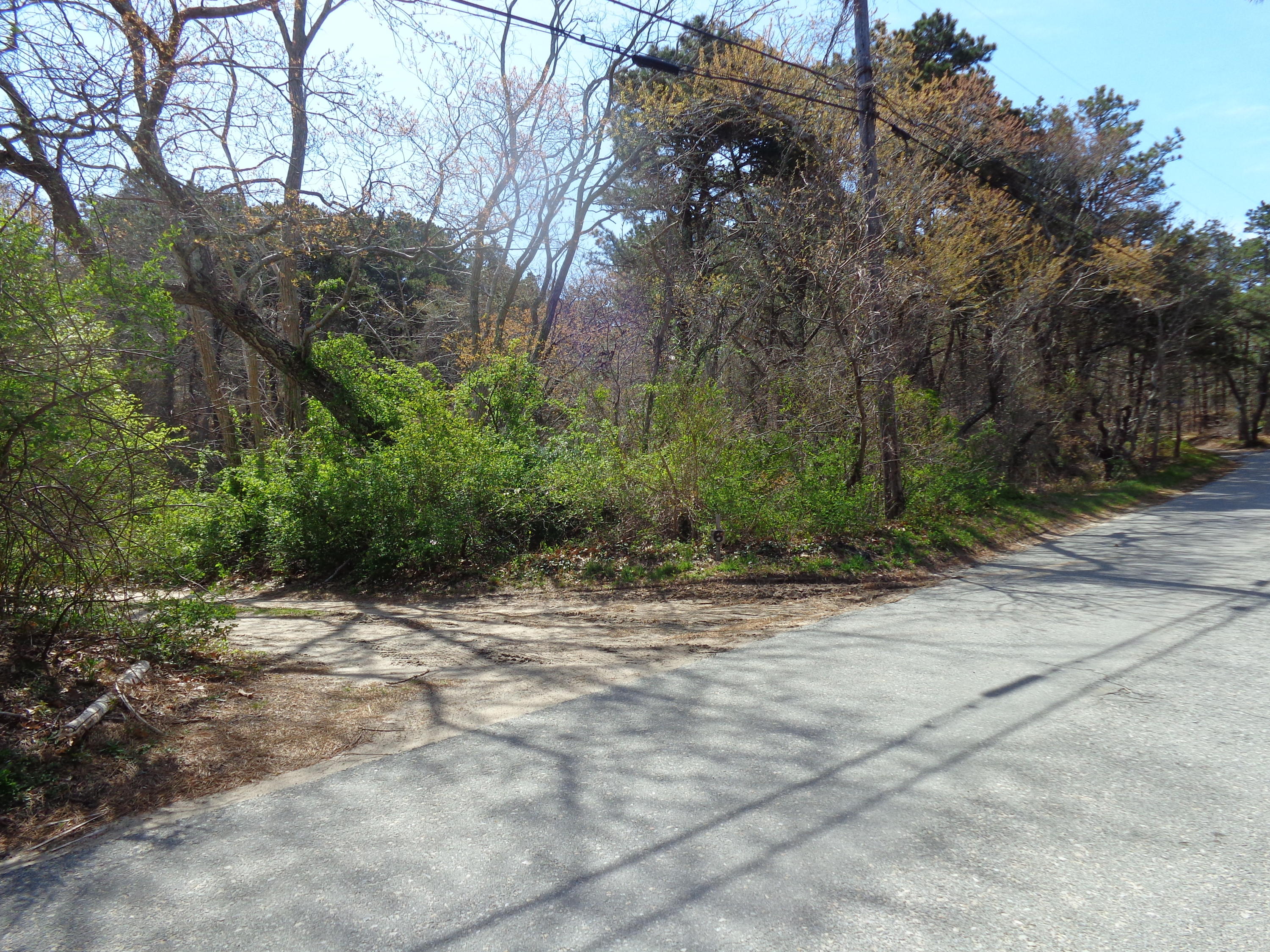 6 Holsbery Road Truro, MA 02666 - Photo 31 of 33 a view of bushes and trees