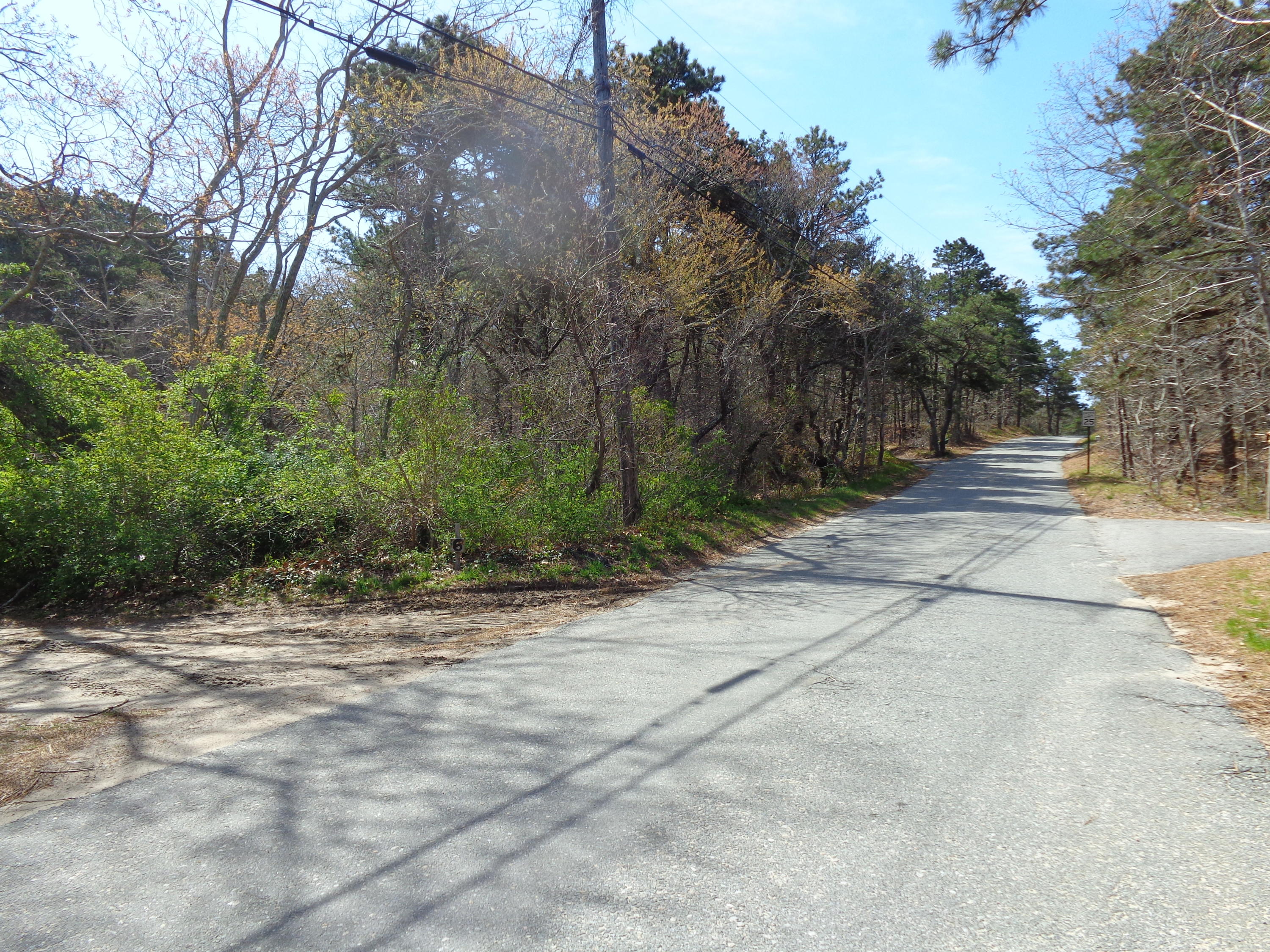 6 Holsbery Road Truro, MA 02666 - Photo 32 of 33 a view of a yard with trees