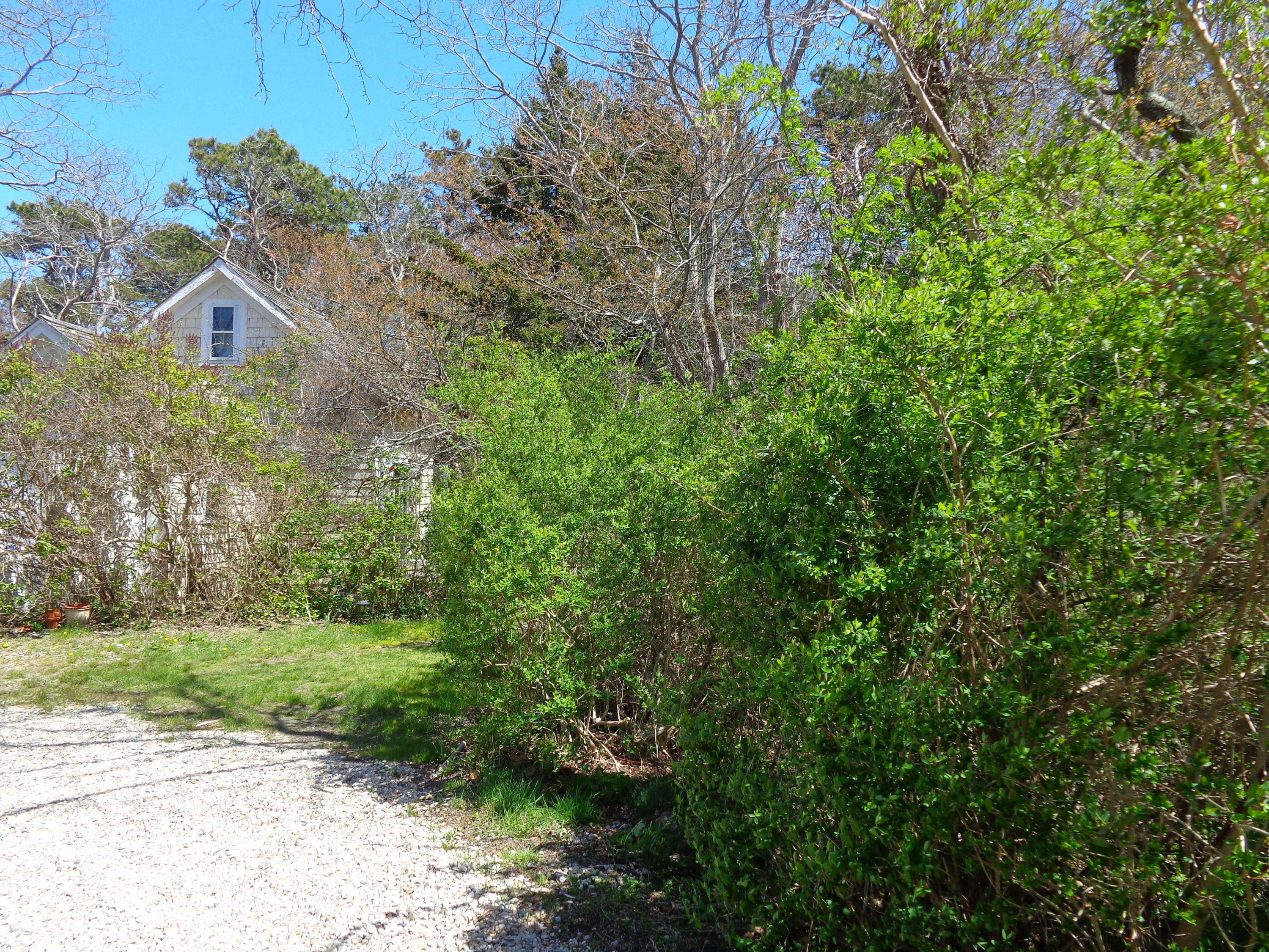 6 Holsbery Road Truro, MA 02666 - Photo 9 of 33
