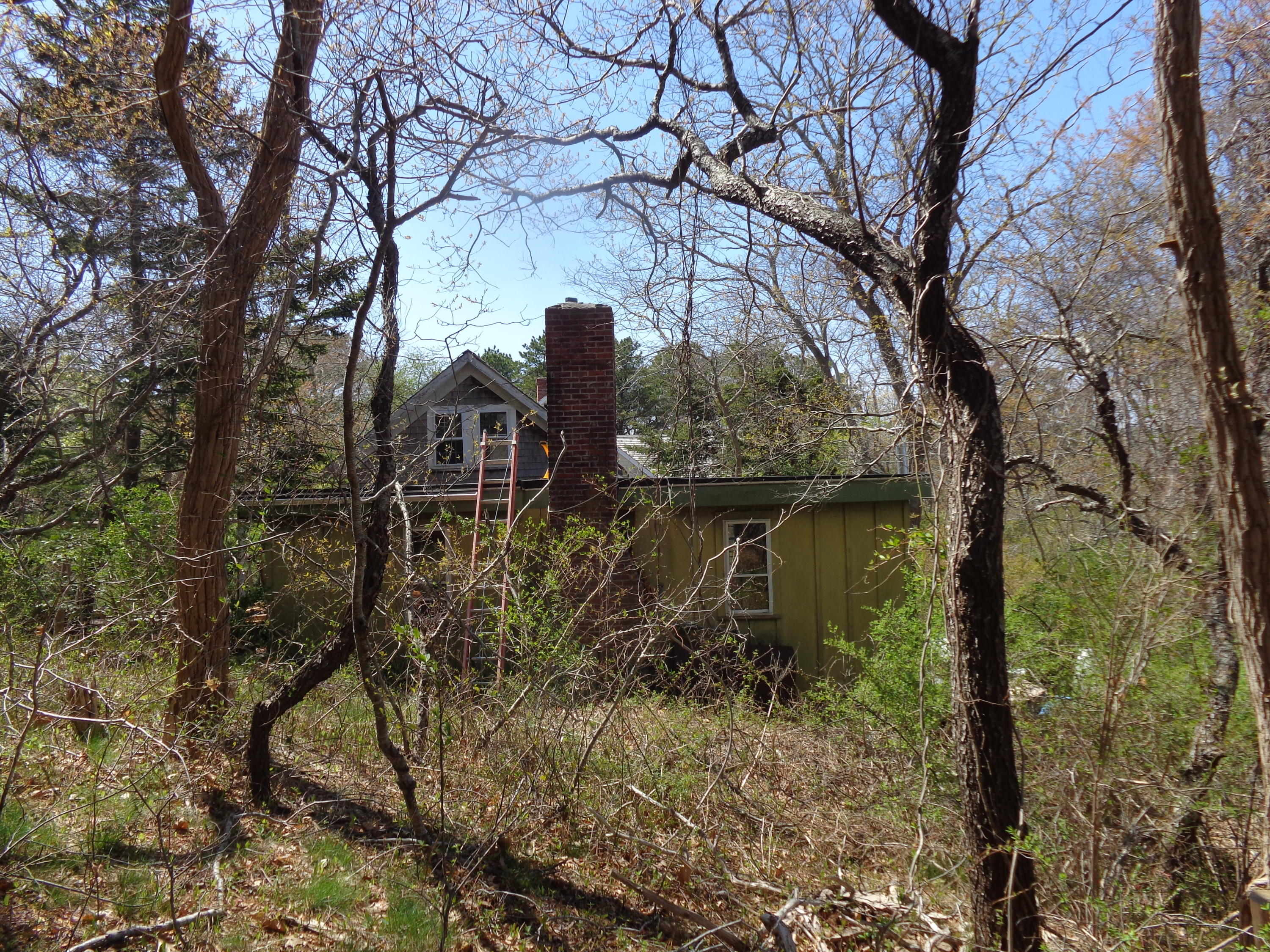 6 Holsbery Road Truro, MA 02666 - Photo 10 of 33 a view of a house with a tree in the yard