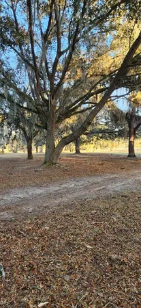 a view of yard with an outdoor space