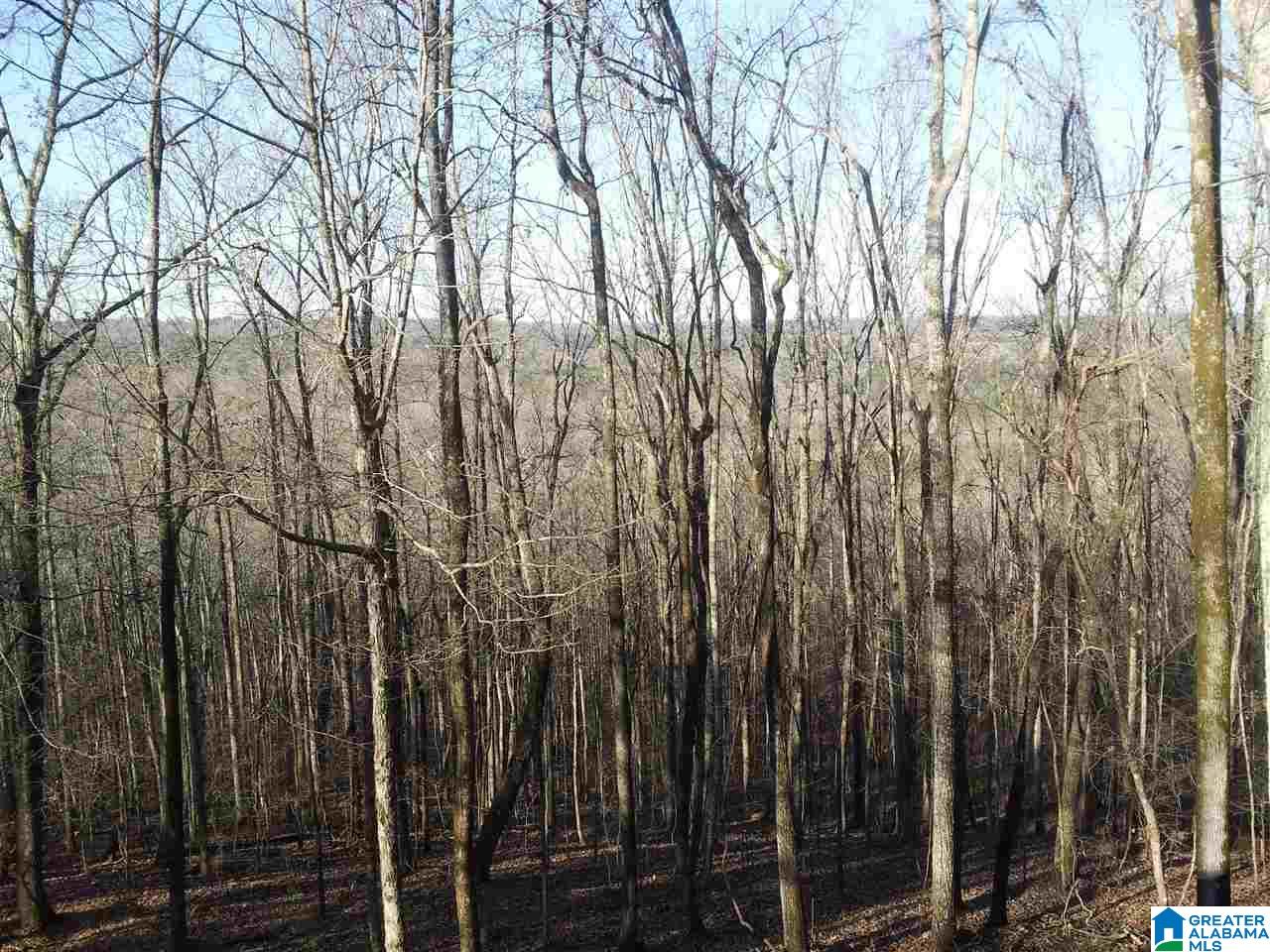 9122 Bluff Ridge Road Bessemer, AL 35022 - Photo 17 of 20