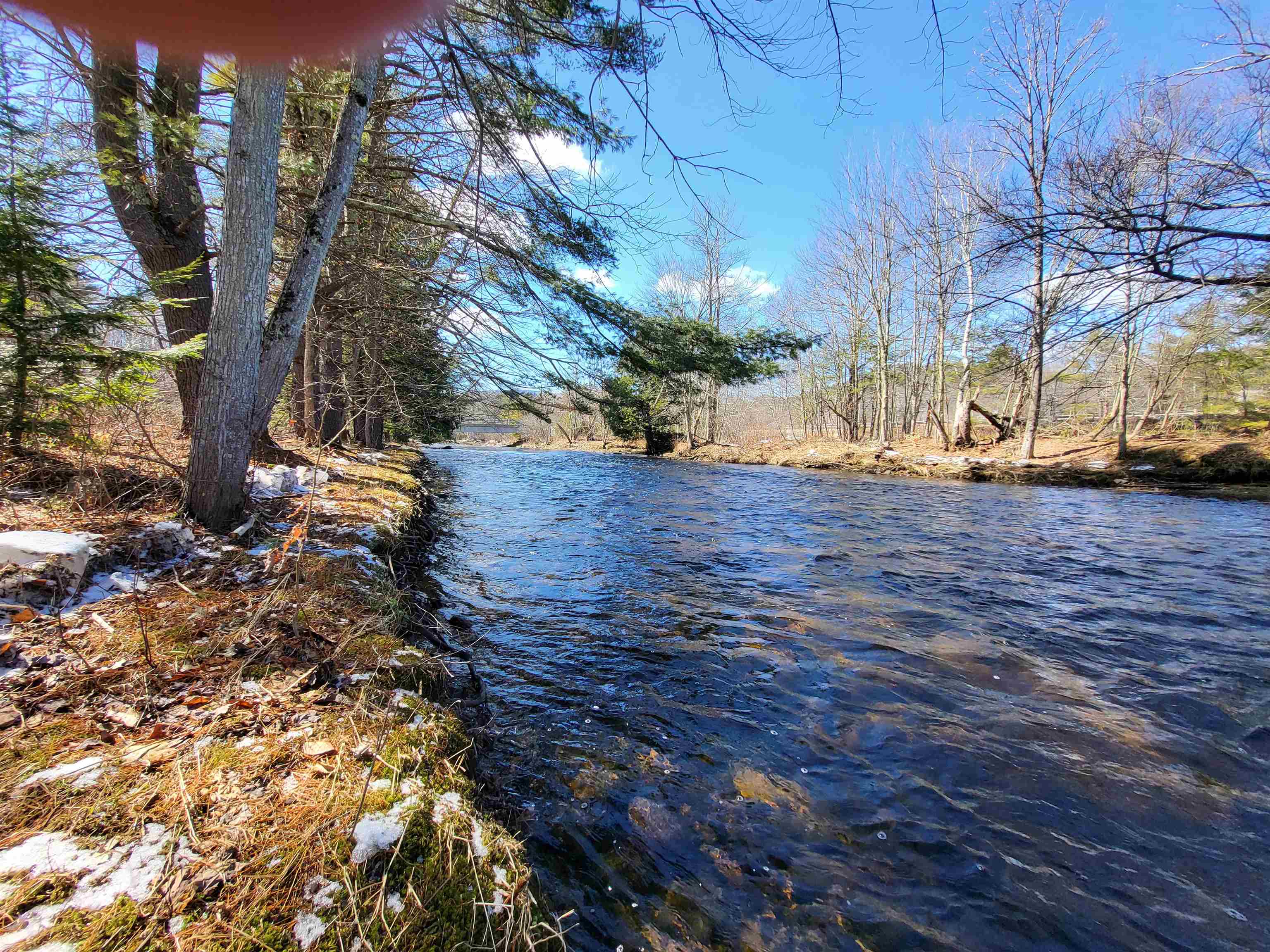 15 Berry Road Alexandria, NH 03222 - Photo 13 of 26