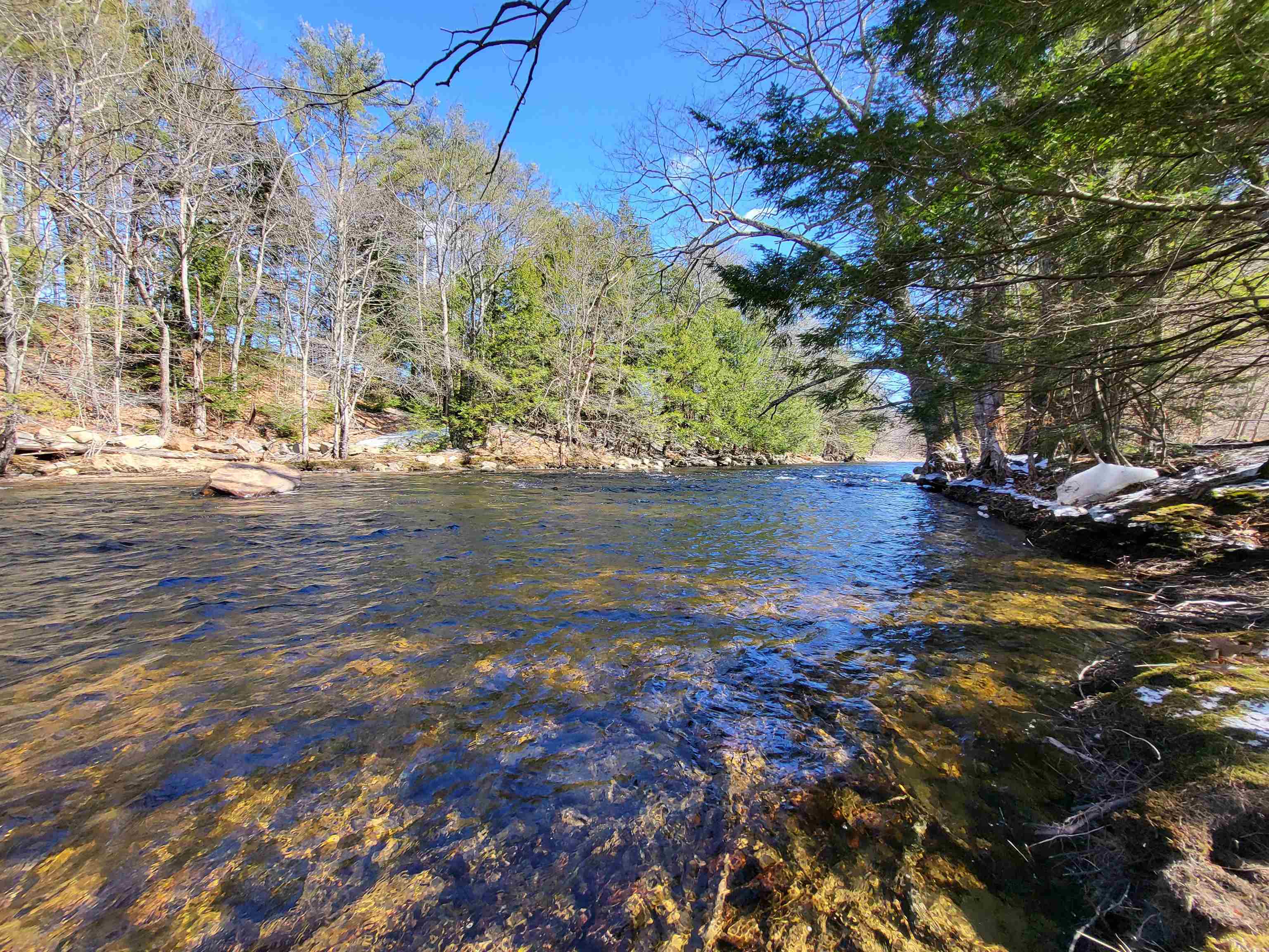 15 Berry Road Alexandria, NH 03222 - Photo 14 of 26