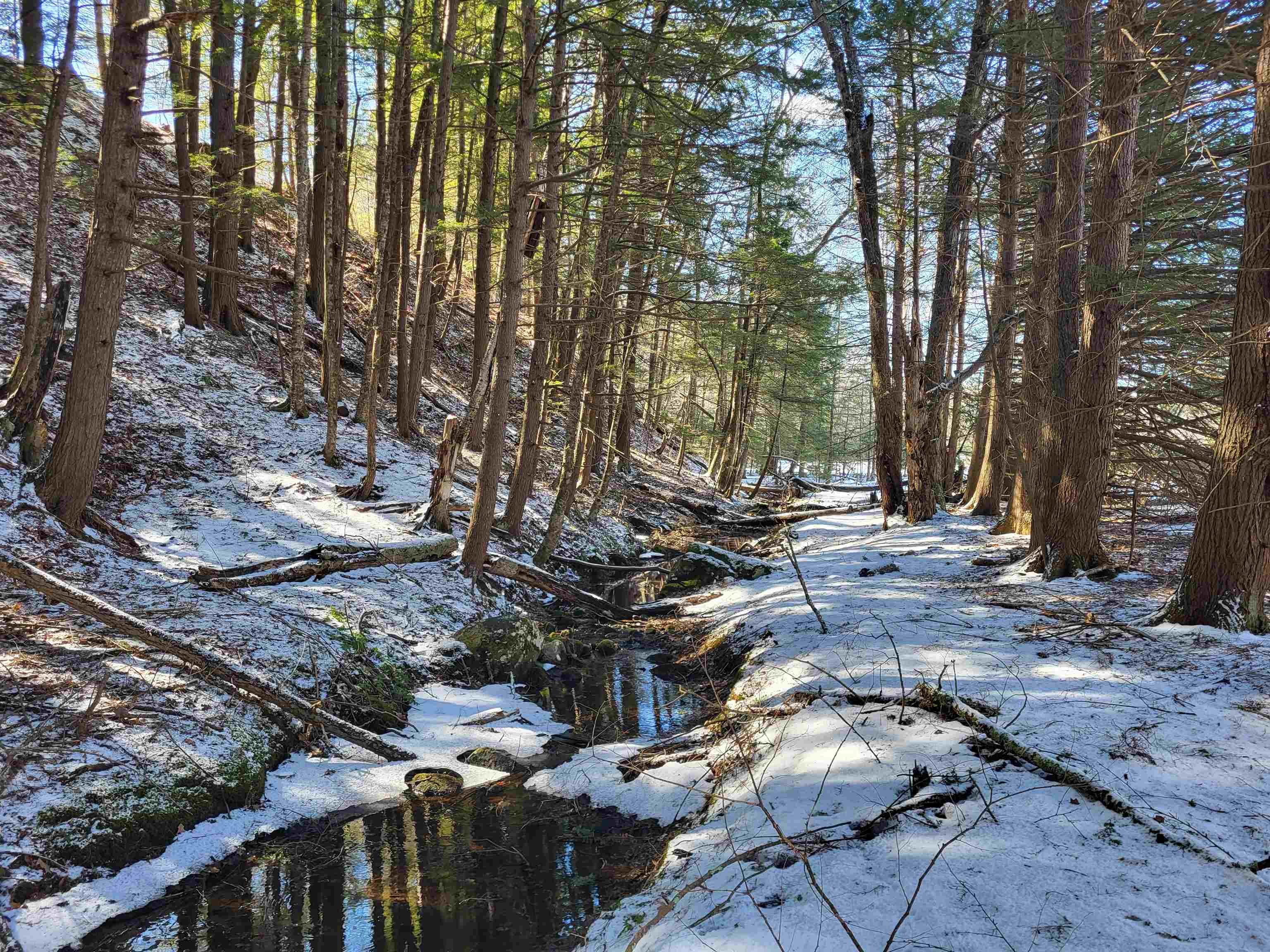 15 Berry Road Alexandria, NH 03222 - Photo 15 of 26