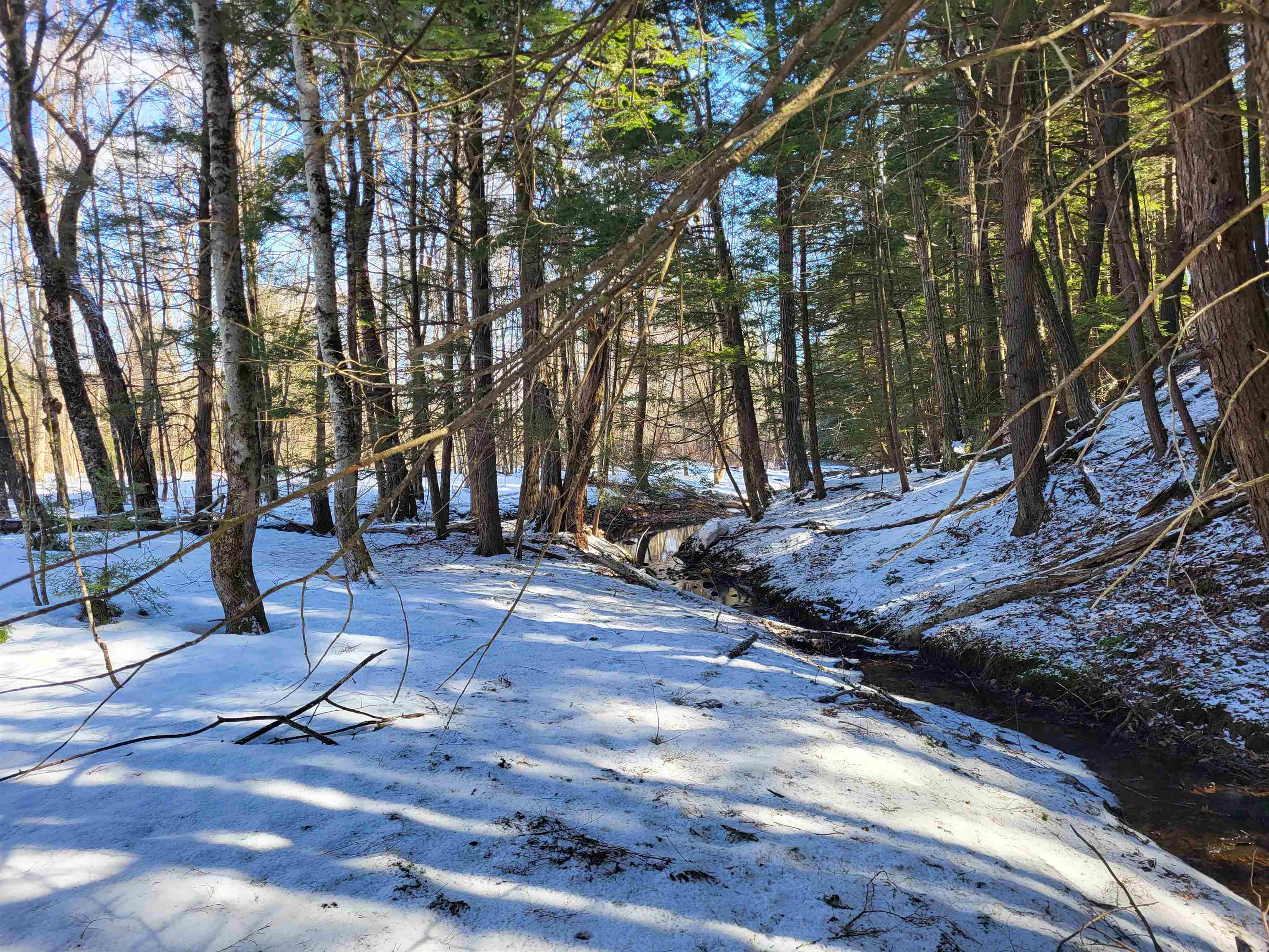 15 Berry Road Alexandria, NH 03222 - Photo 16 of 26