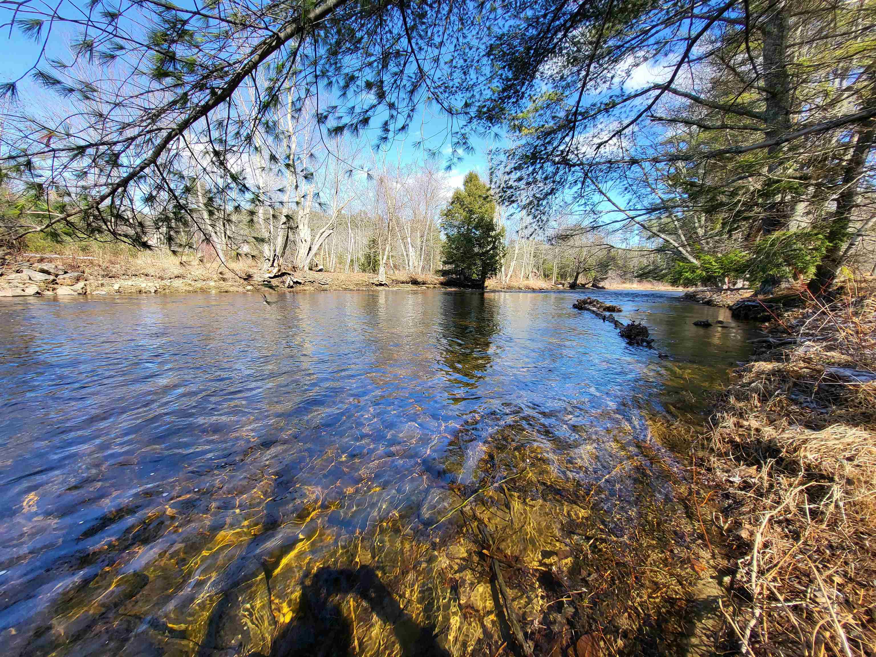 15 Berry Road Alexandria, NH 03222 - Photo 2 of 26