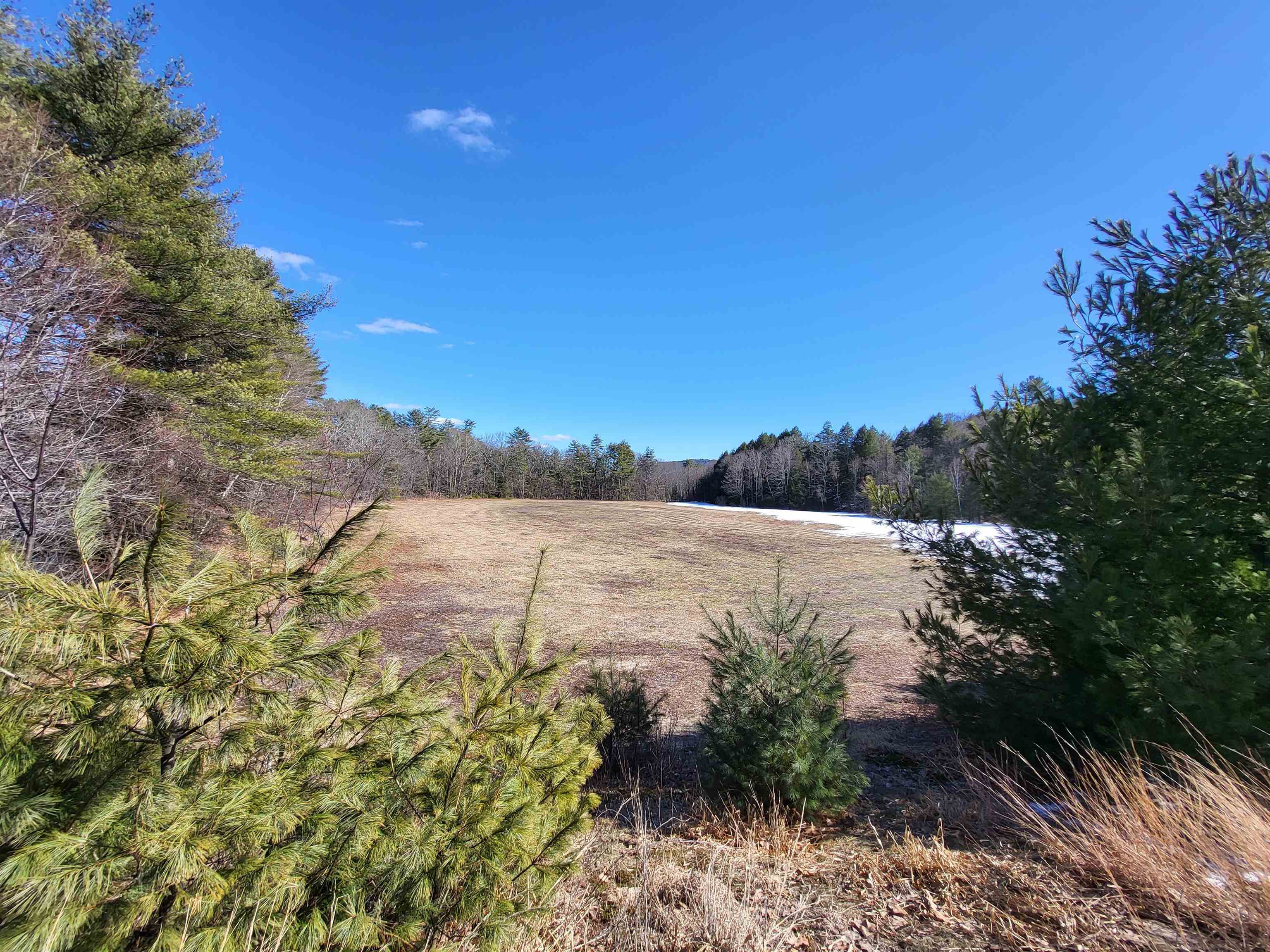 15 Berry Road Alexandria, NH 03222 - Photo 22 of 26
