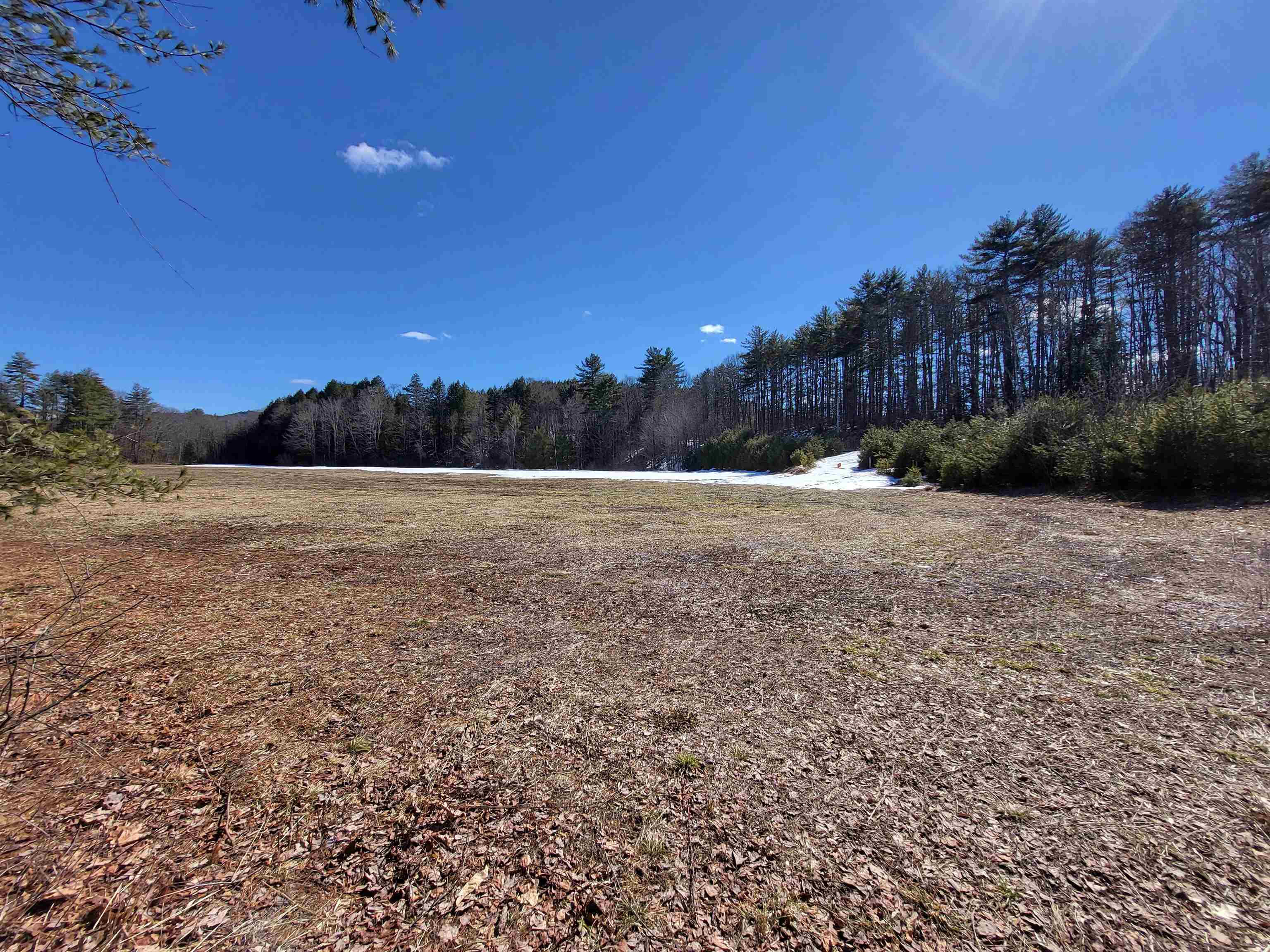 15 Berry Road Alexandria, NH 03222 - Photo 10 of 26