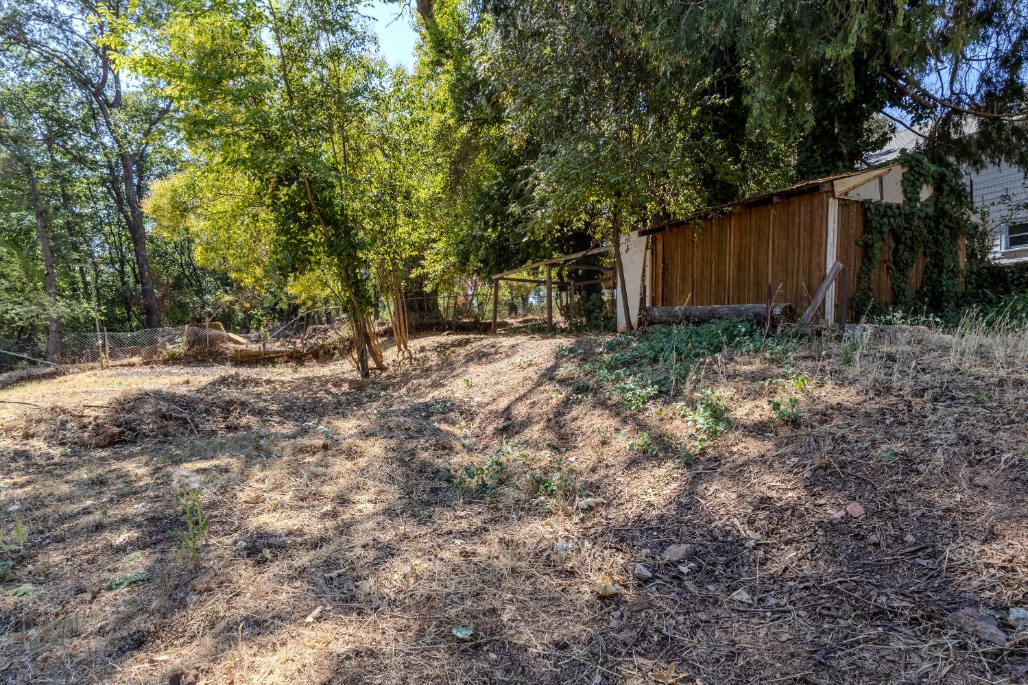 2896 Clay Street Placerville, CA 95667 - Photo 30 of 38 a backyard of a house with lots of green space