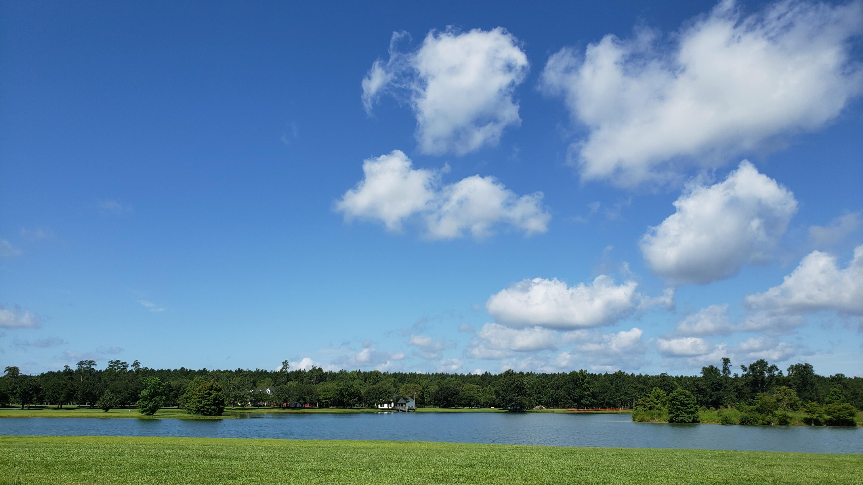 166 Darby Mdw Lane Ridgeville, SC 29472 - Photo 4 of 17 3. TL Lake Pic I (4.13.24)